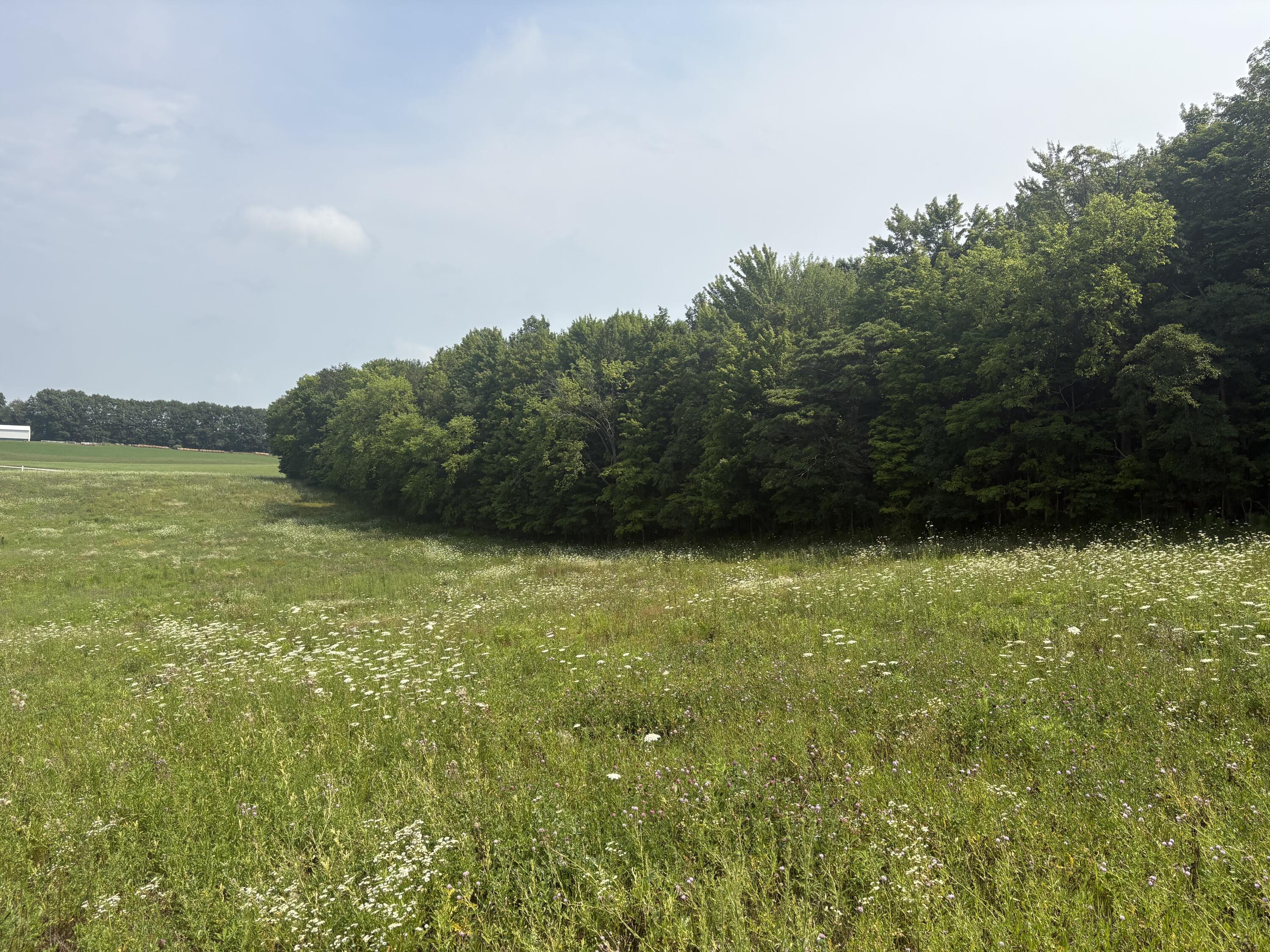 210 W Wagner Road Buchanan MI 49107
