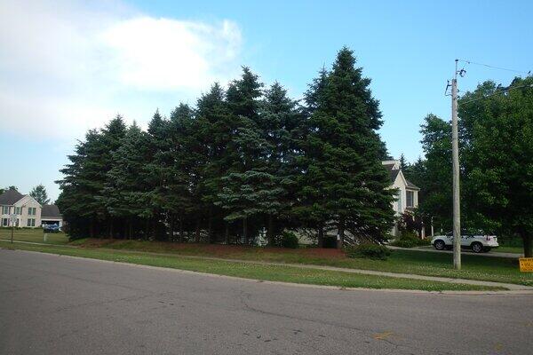 Vl South Demorrow Road Stevensville MI 49127