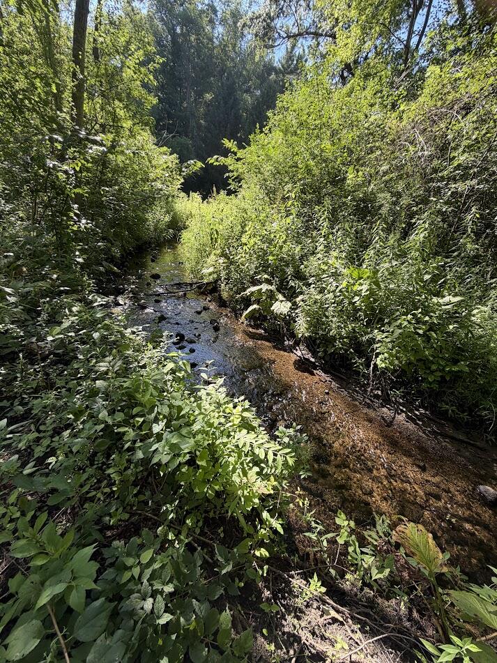 4199 3 Mile Road NE Grand Rapids MI 49525