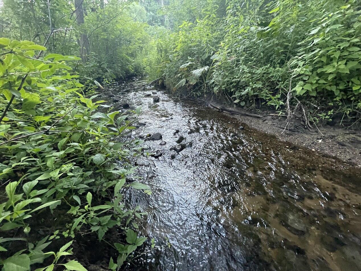 4199 3 Mile Road NE Grand Rapids MI 49525