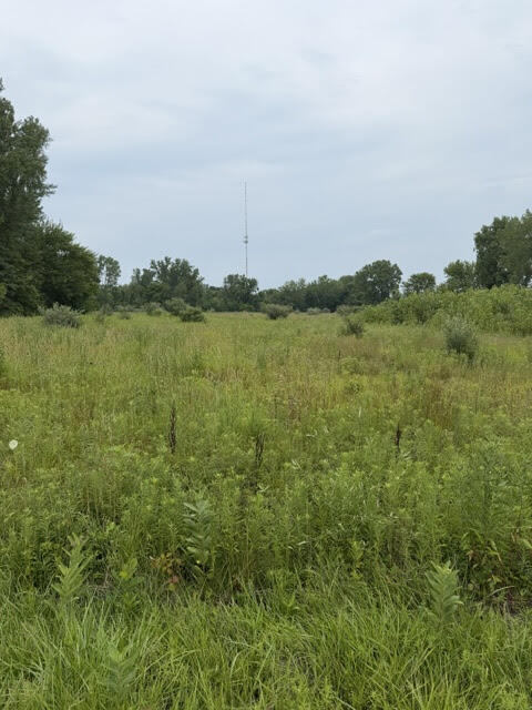 W. Linco Road - Parcel #1-A Stevensville MI 49127