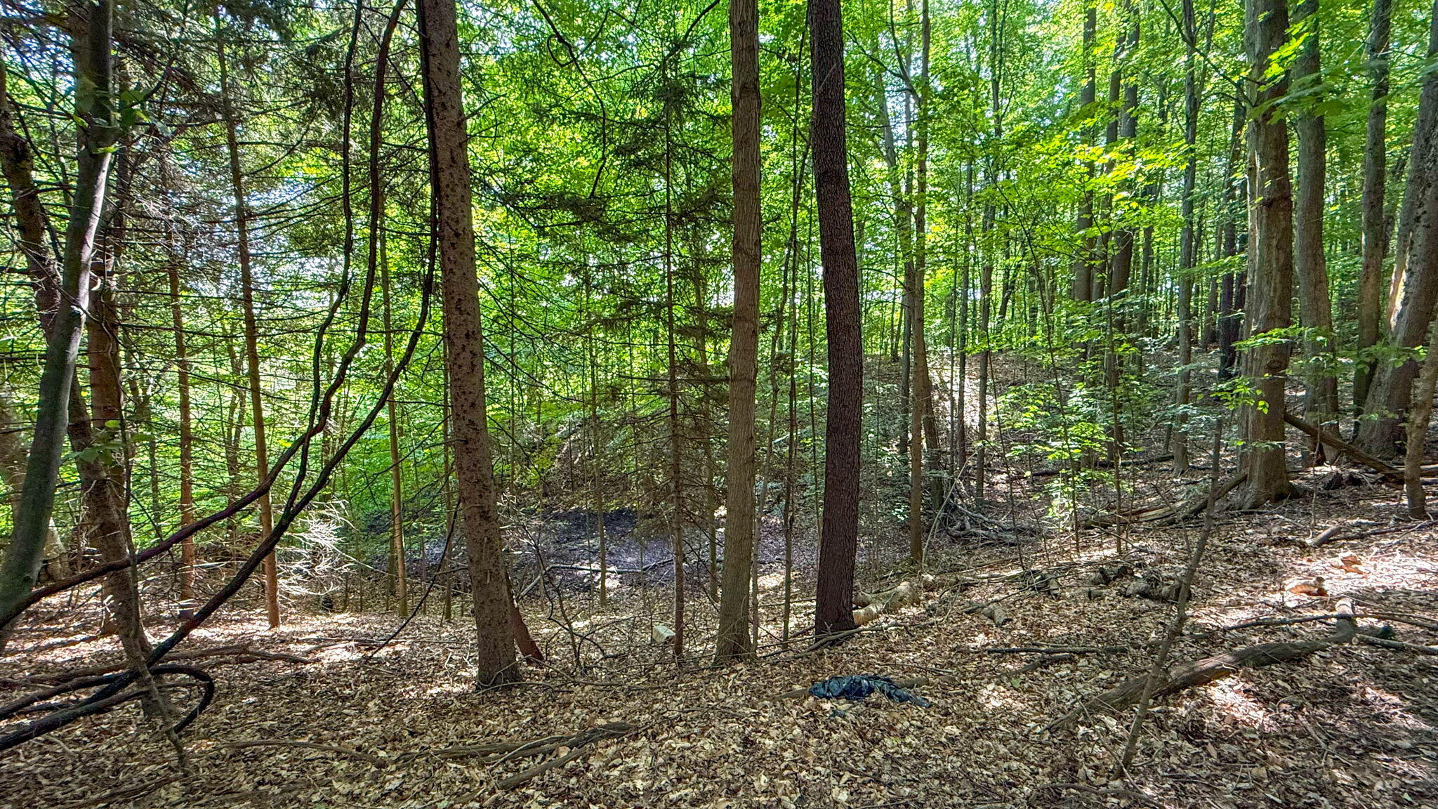 V/l Cr 388 South Haven MI 49090