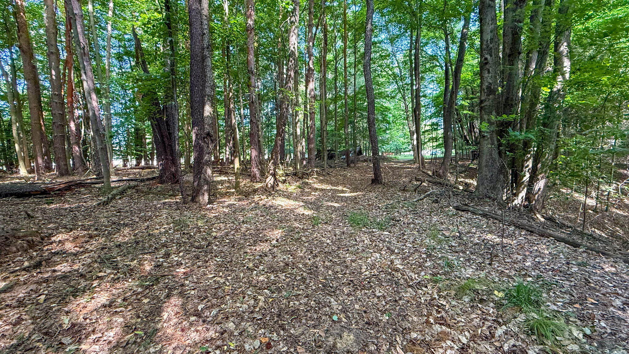 V/l Cr 388 South Haven MI 49090
