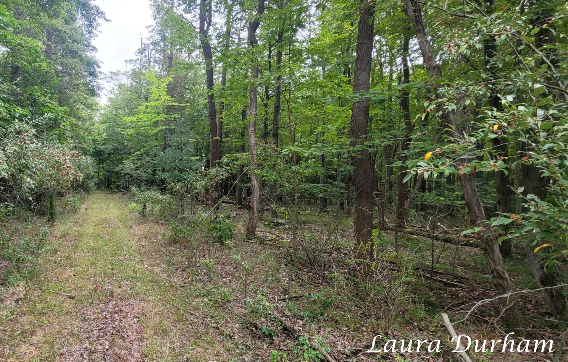 Vl Old Owl Drive Fennville MI 49408