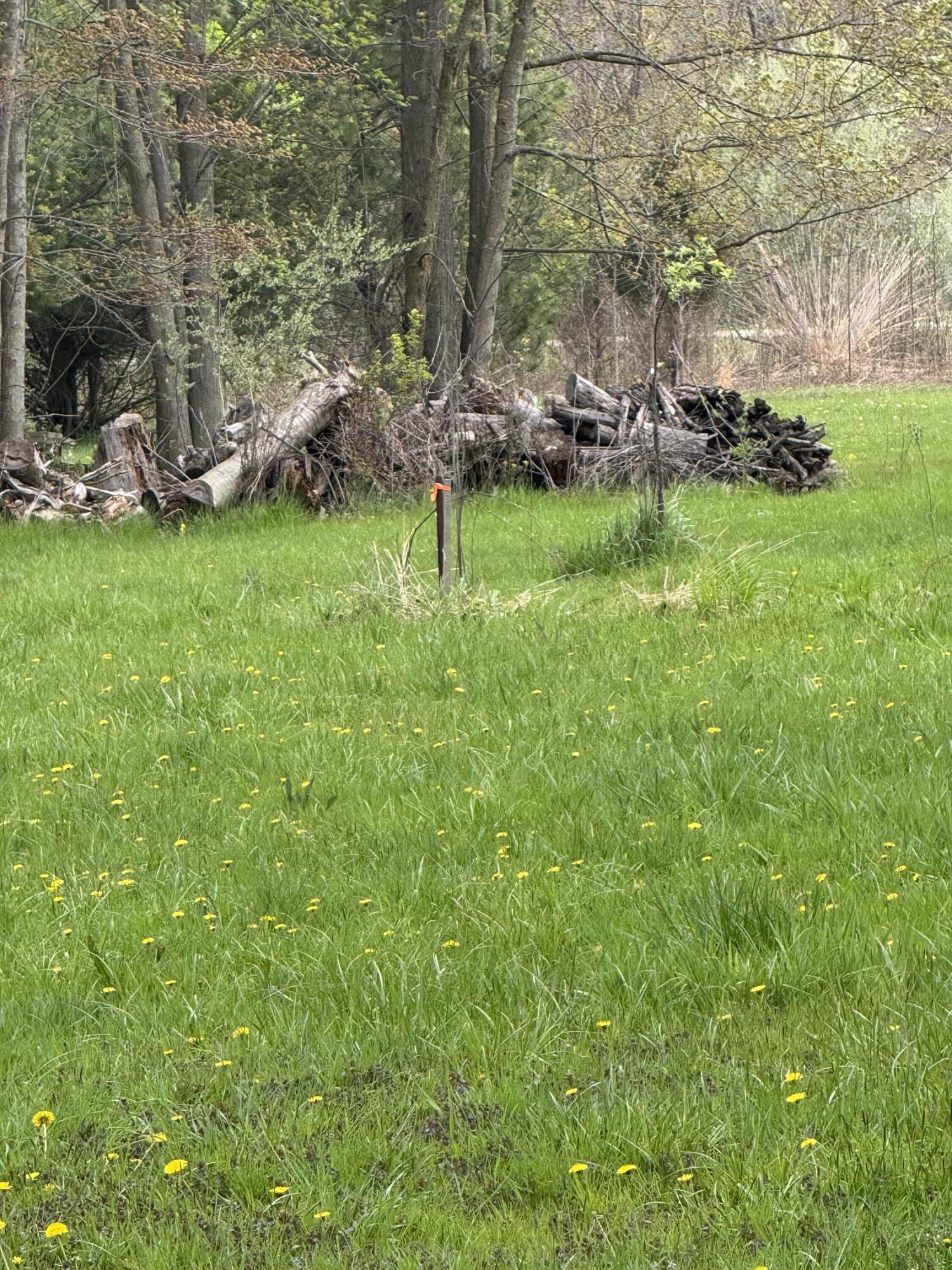 5753 Kaegeler Avenue Coloma MI 49038