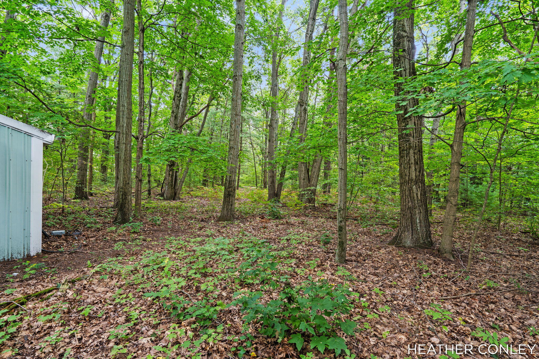 3125 Riverbend Trail Fennville MI 49408
