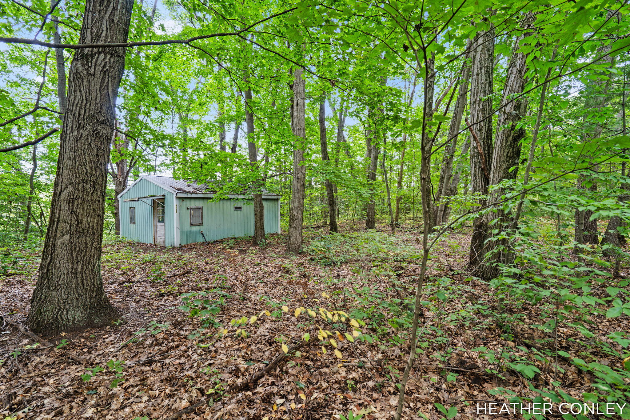 3125 Riverbend Trail Fennville MI 49408