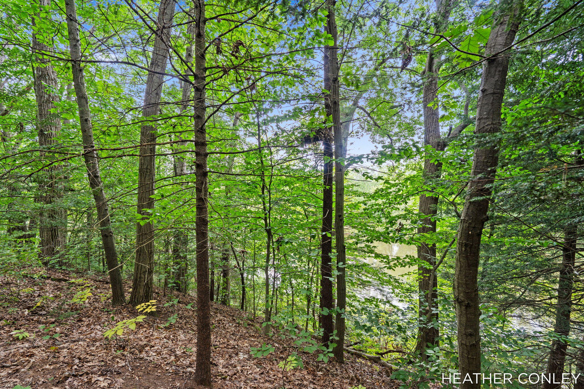 3125 Riverbend Trail Fennville MI 49408