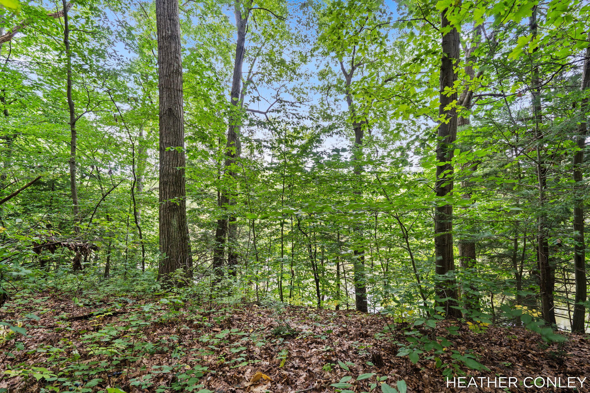 3125 Riverbend Trail Fennville MI 49408