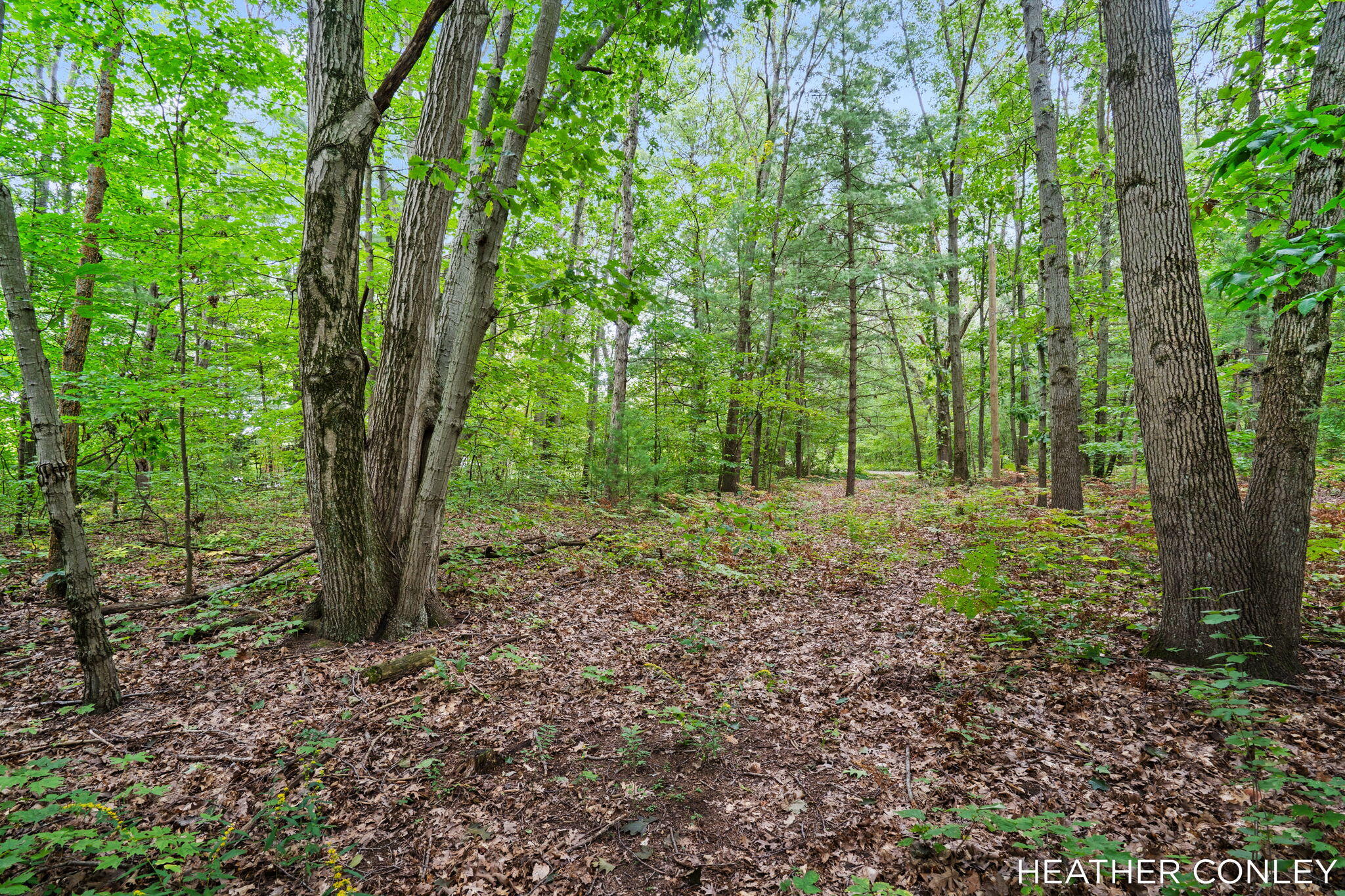3125 Riverbend Trail Fennville MI 49408