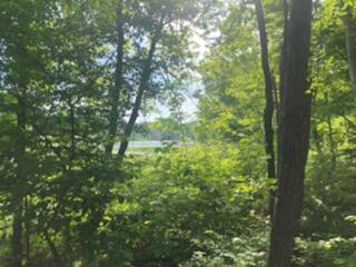 Garr Road Berrien Springs MI 49103