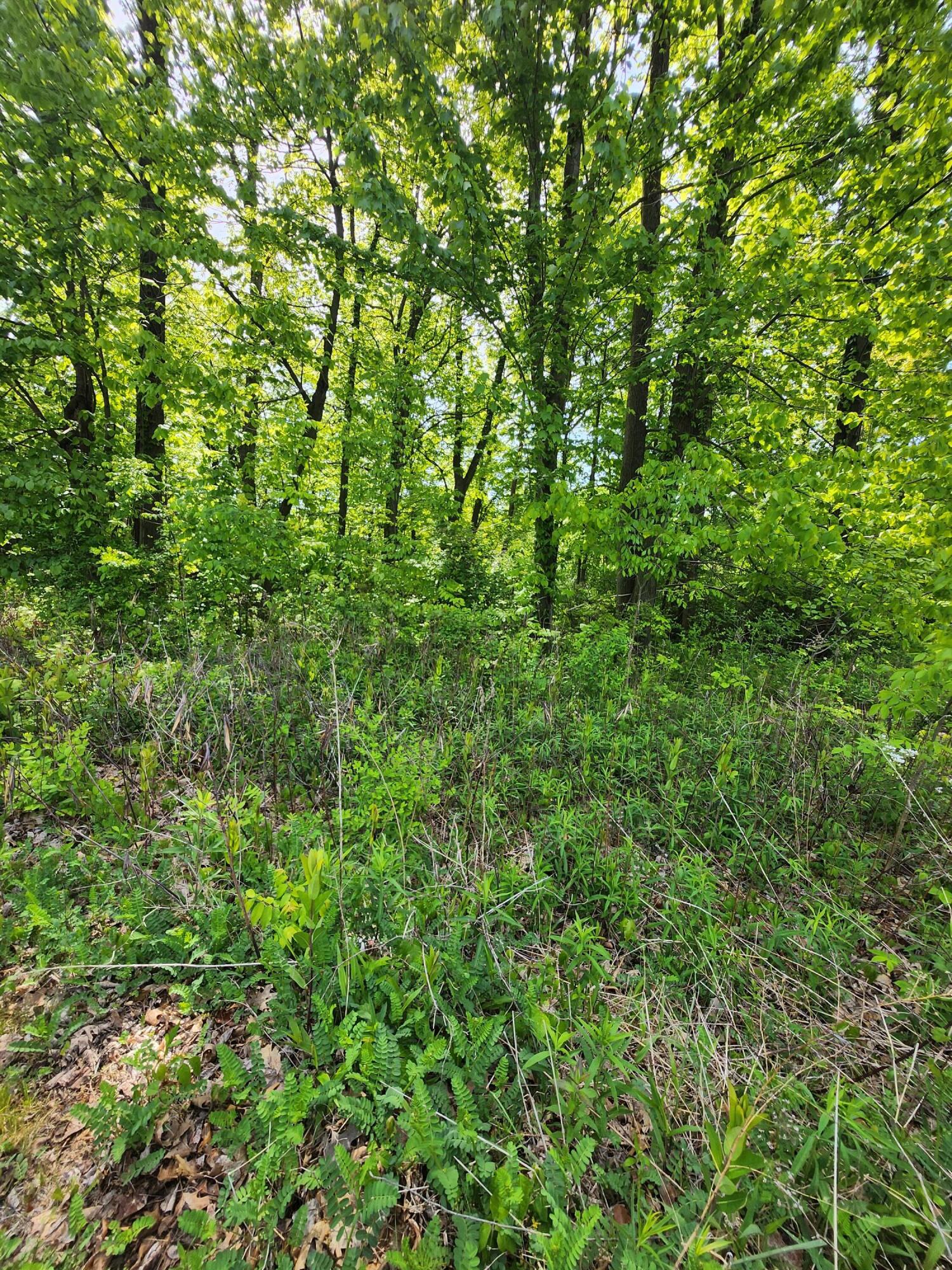 17651 Penny Lane New Buffalo MI 49117