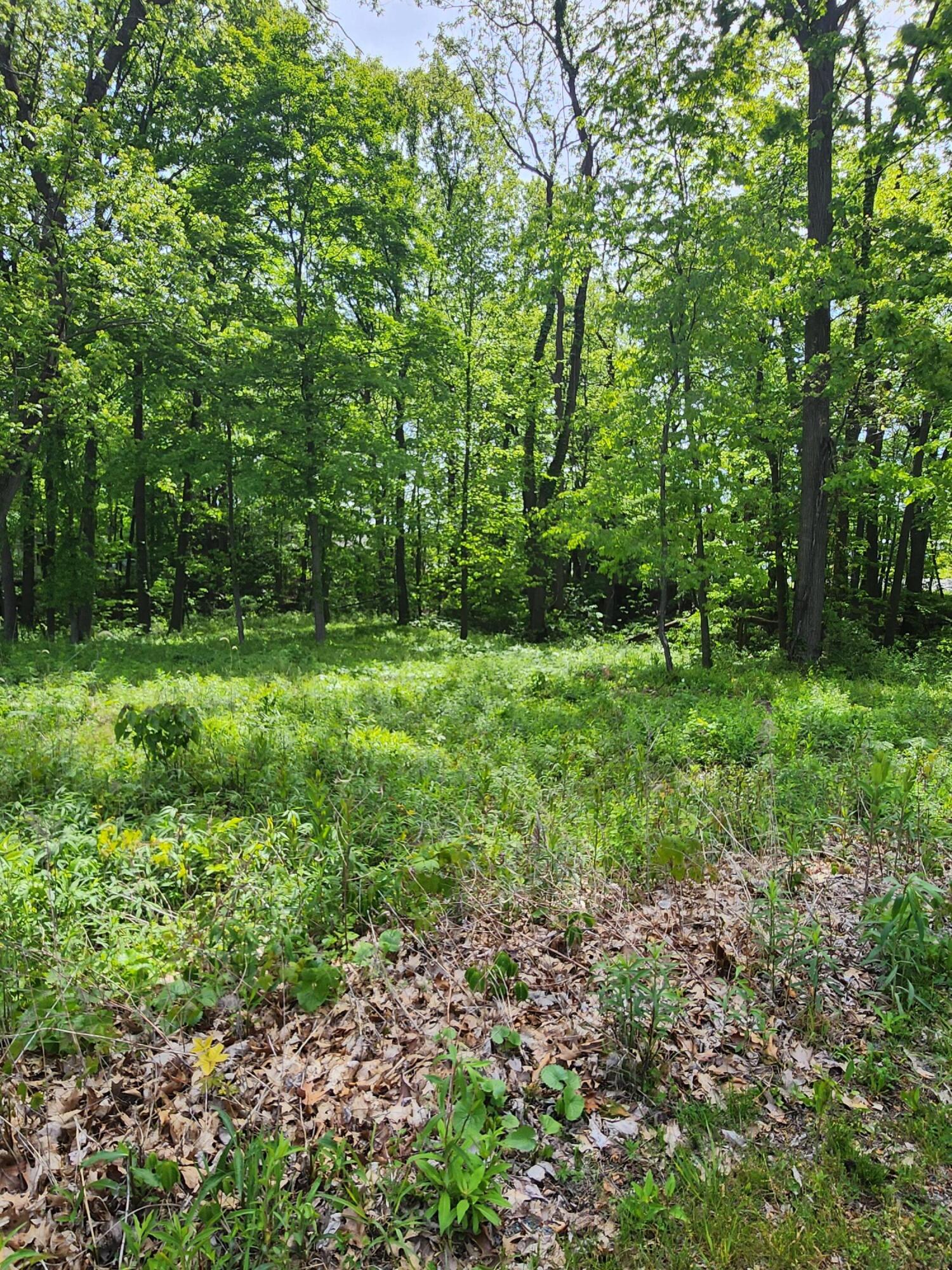 17651 Penny Lane New Buffalo MI 49117