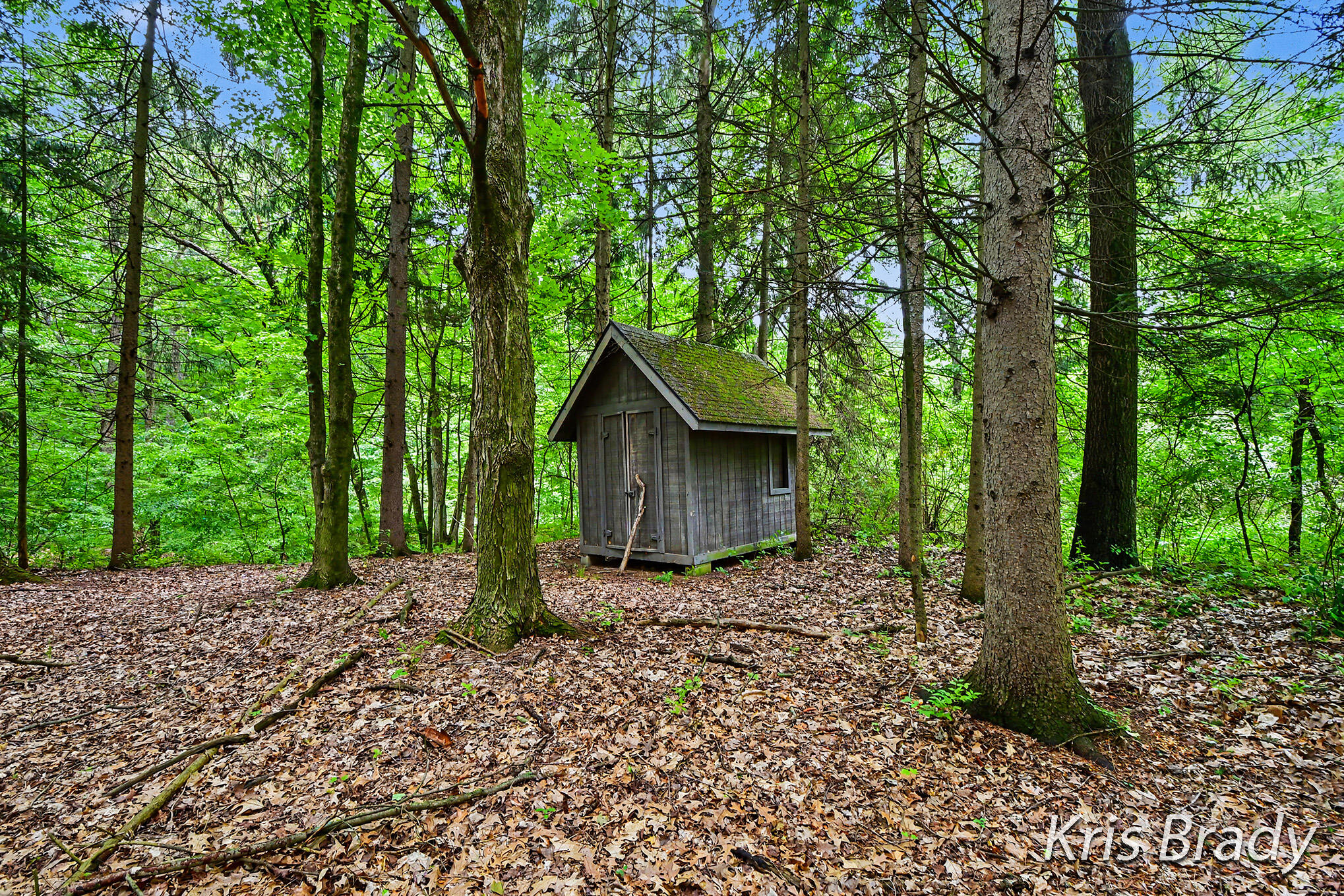 8275 Bailey Drive SE Ada MI 49301