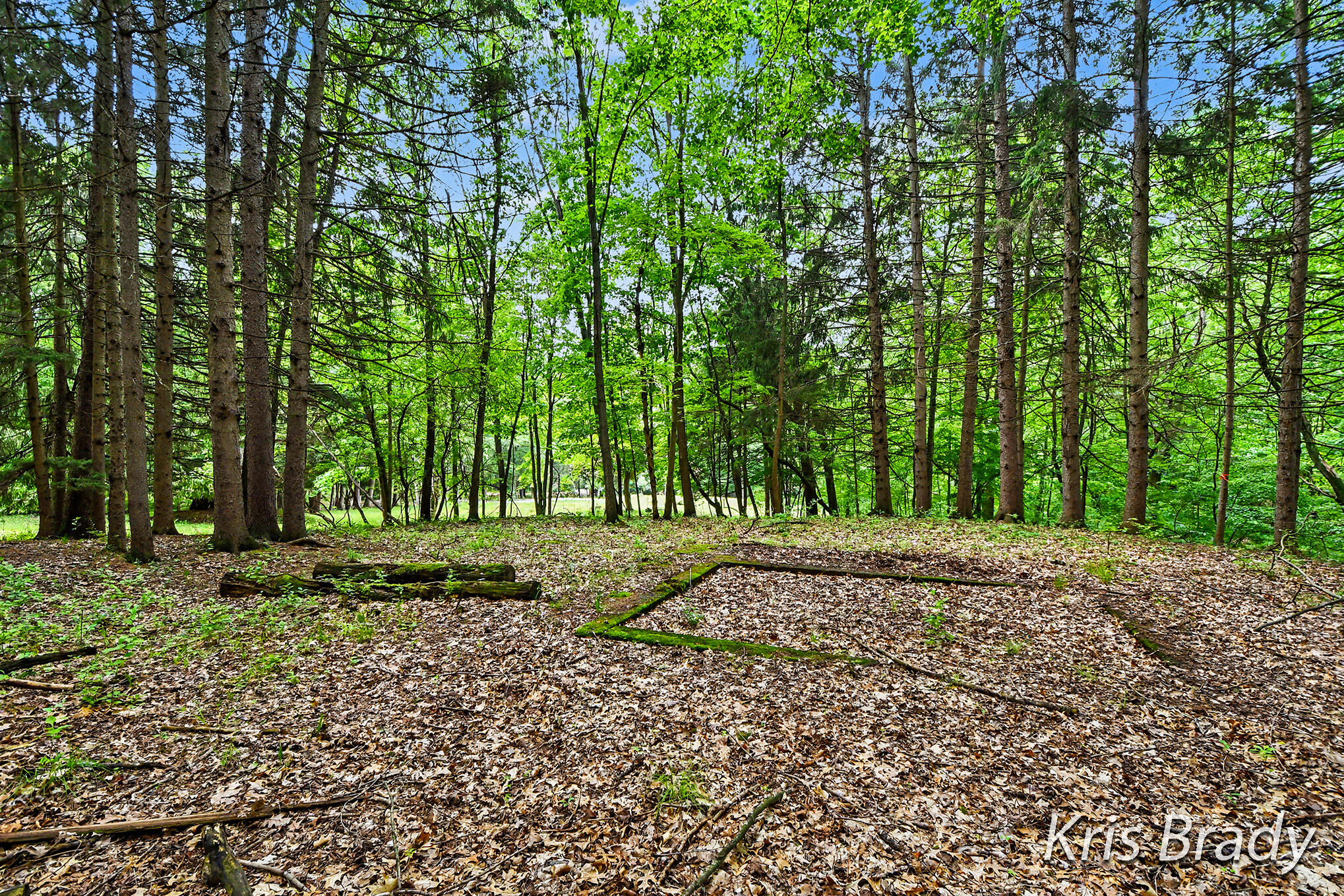 8275 Bailey Drive SE Ada MI 49301