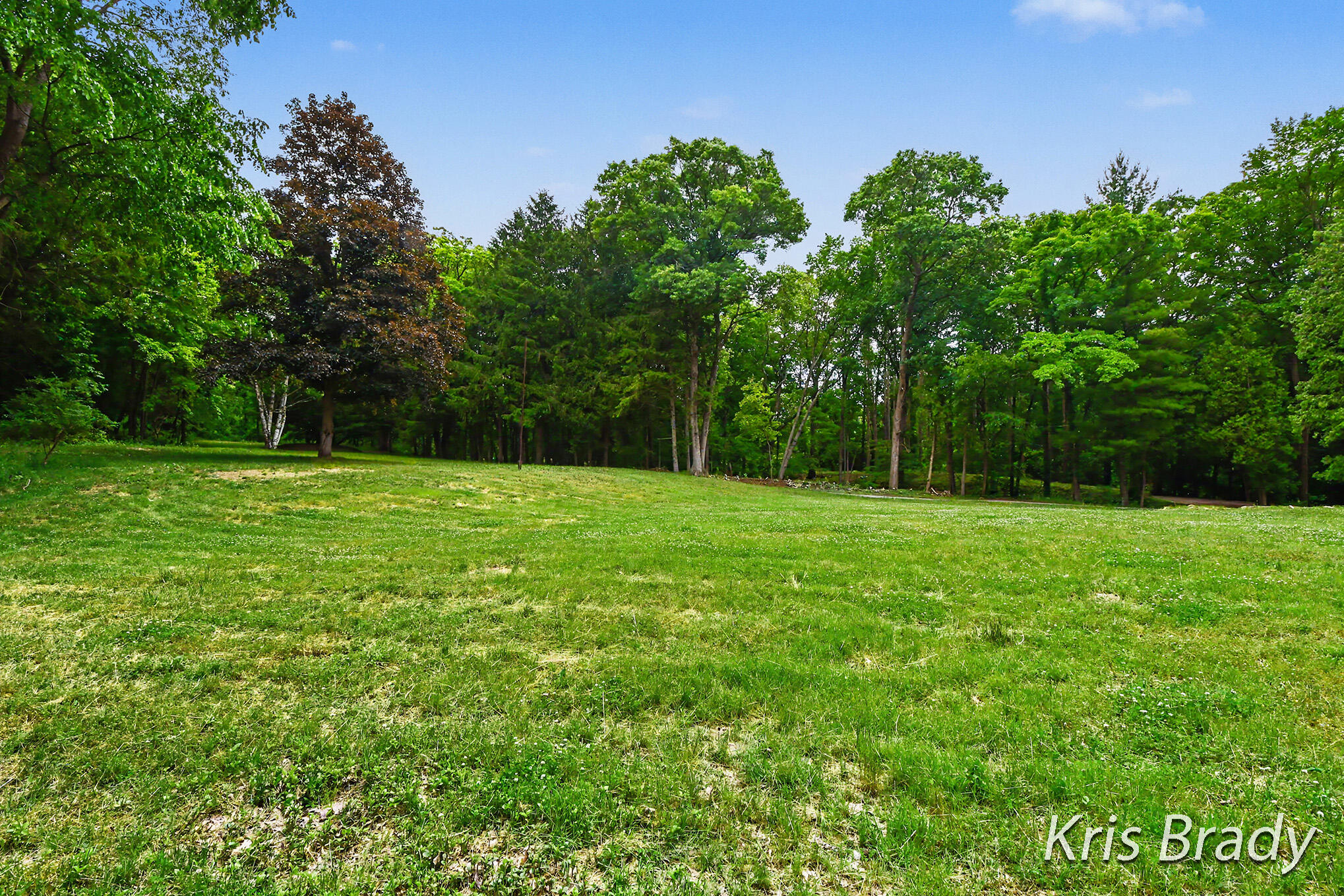 8275 Bailey Drive SE Ada MI 49301