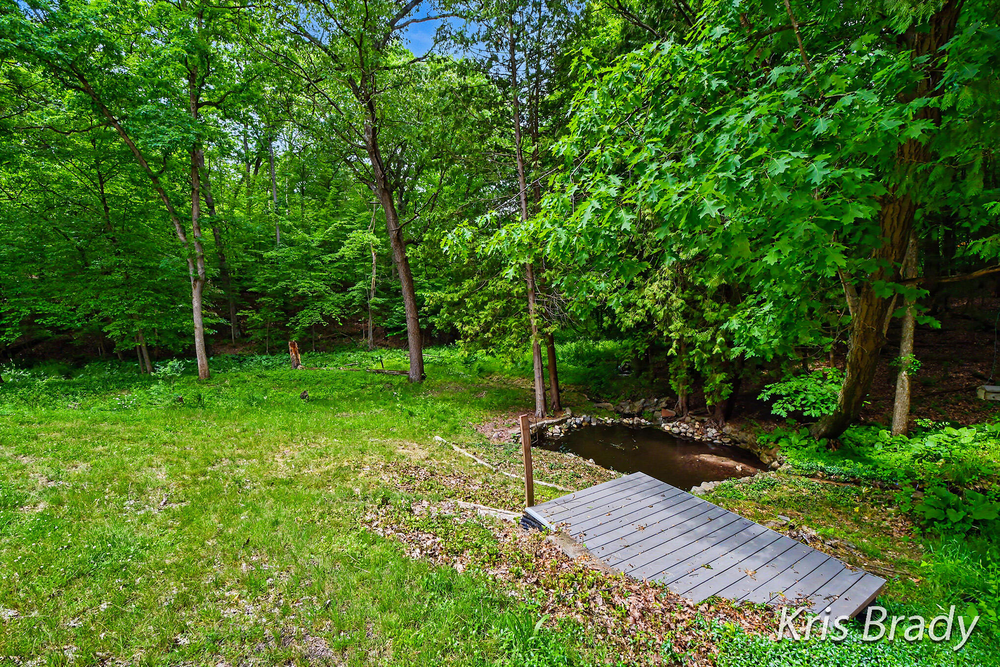 8275 Bailey Drive SE Ada MI 49301
