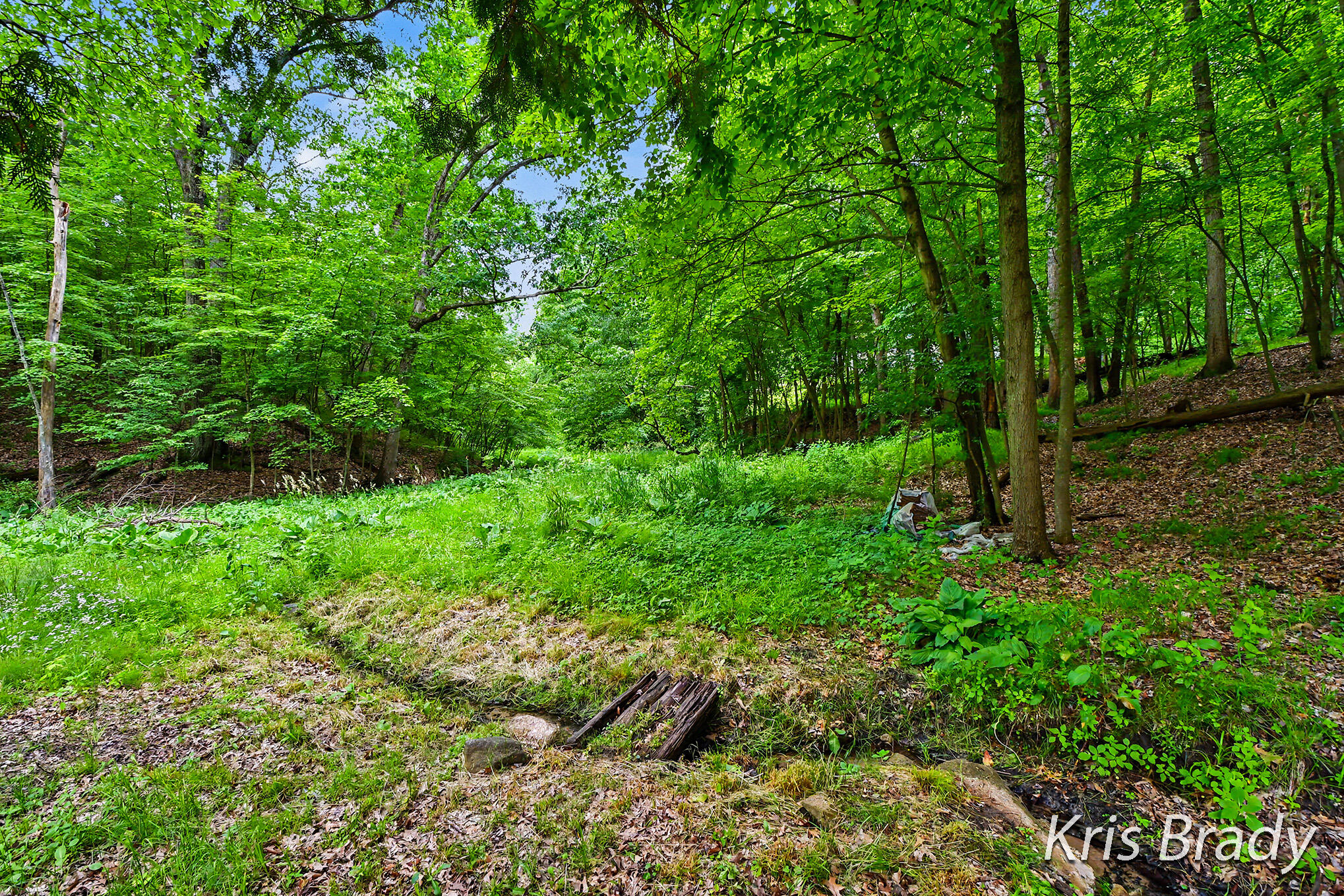8275 Bailey Drive SE Ada MI 49301