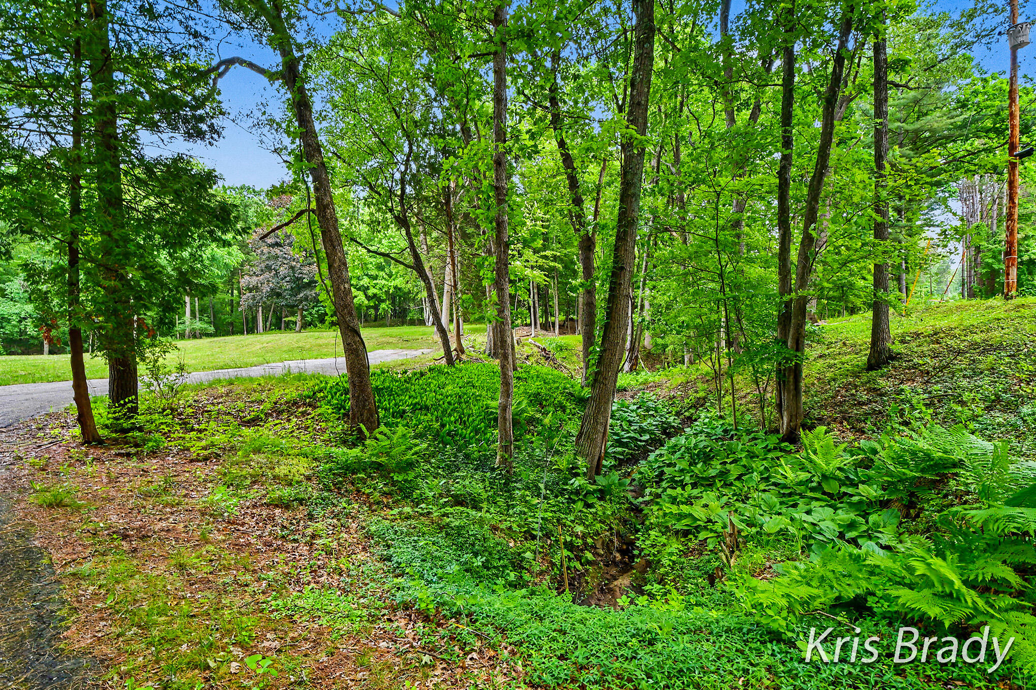 8275 Bailey Drive SE Ada MI 49301