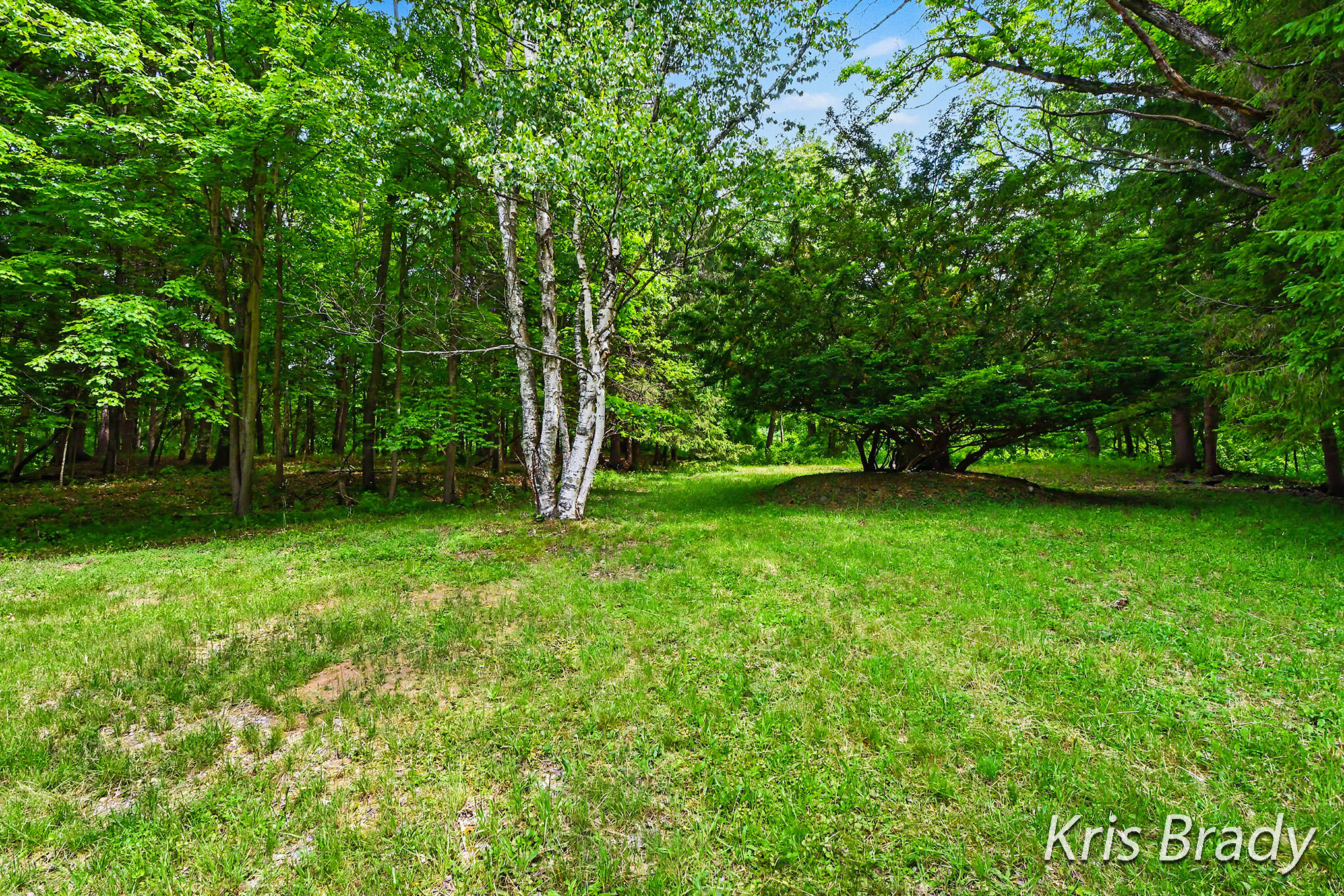 8275 Bailey Drive SE Ada MI 49301