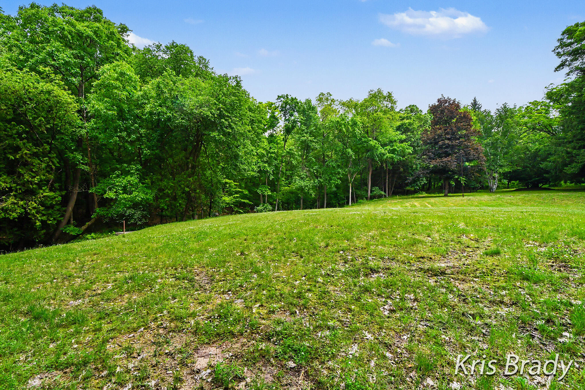 8275 Bailey Drive SE Ada MI 49301