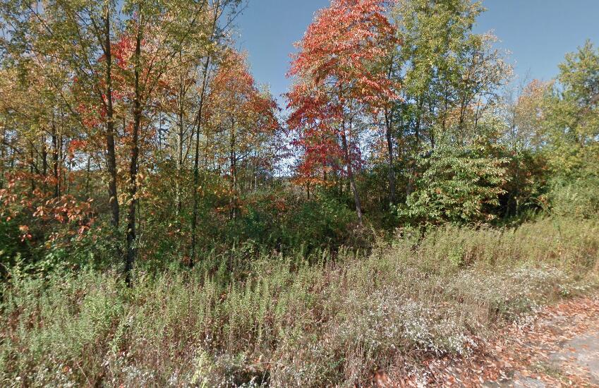 0 Forest Shores Drive Cassopolis MI 49031