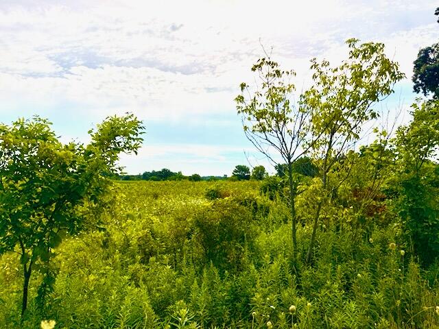 0 Carpenter Road Three Oaks MI 49128
