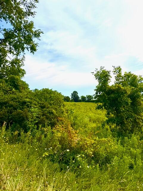 0 Carpenter Road Three Oaks MI 49128