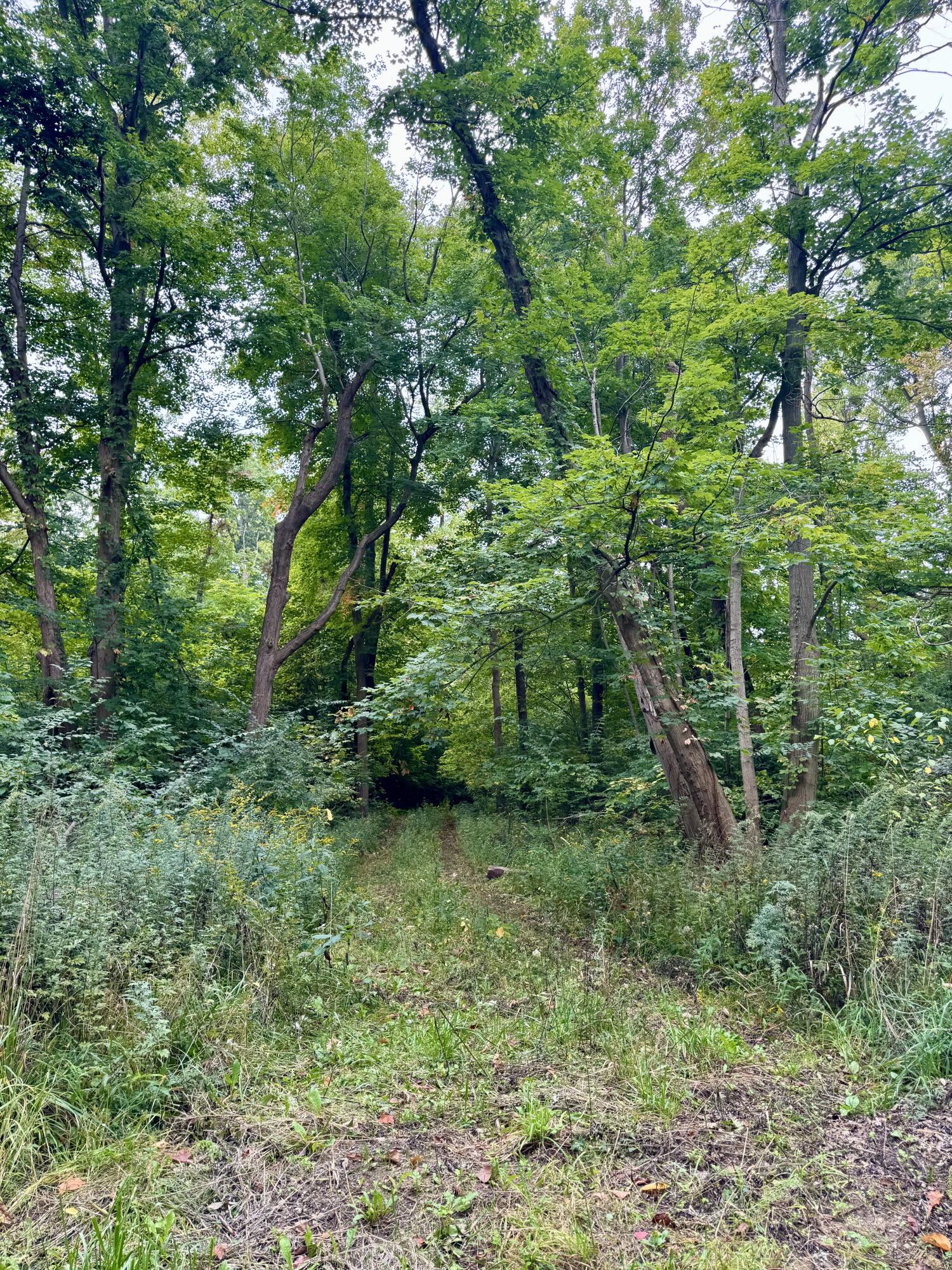 7352 Red Arrow Highway Stevensville MI 49127
