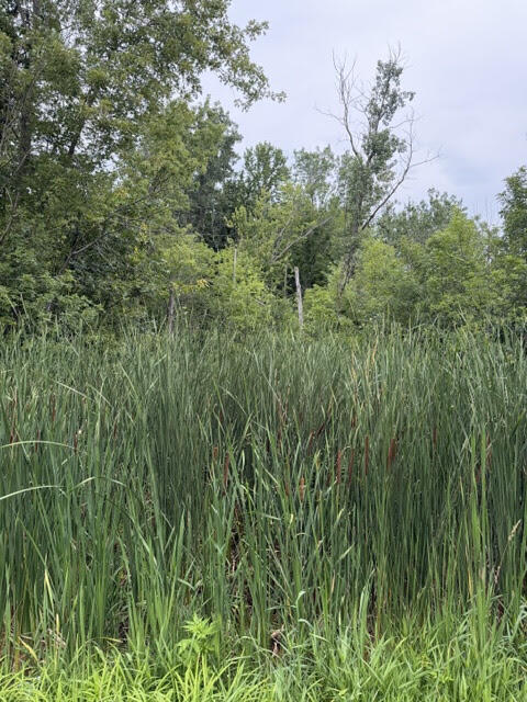 W. Linco Road - Parcel #3-C Stevensville MI 49127