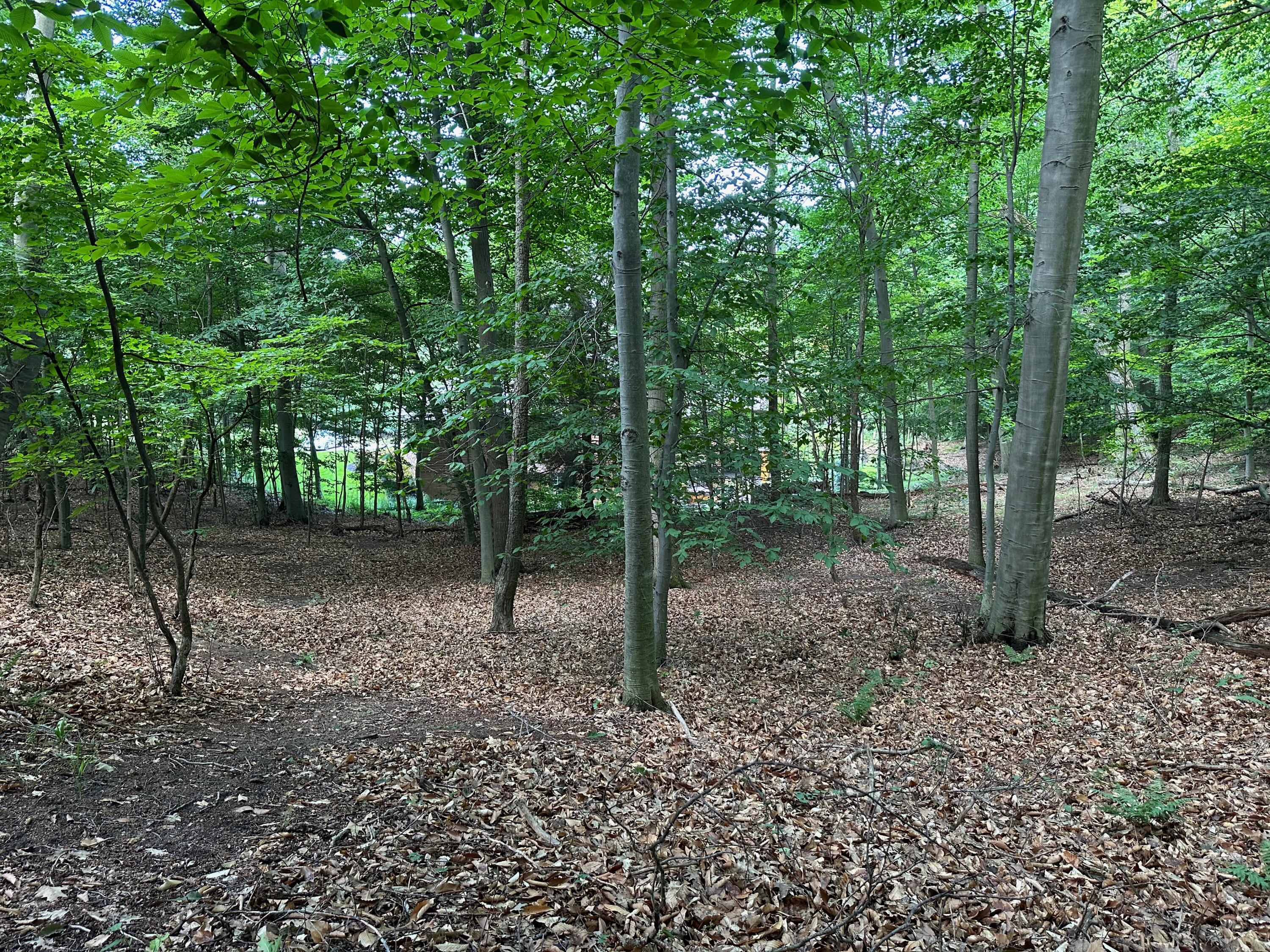 6625 Forest Beach Drive Holland MI 49423