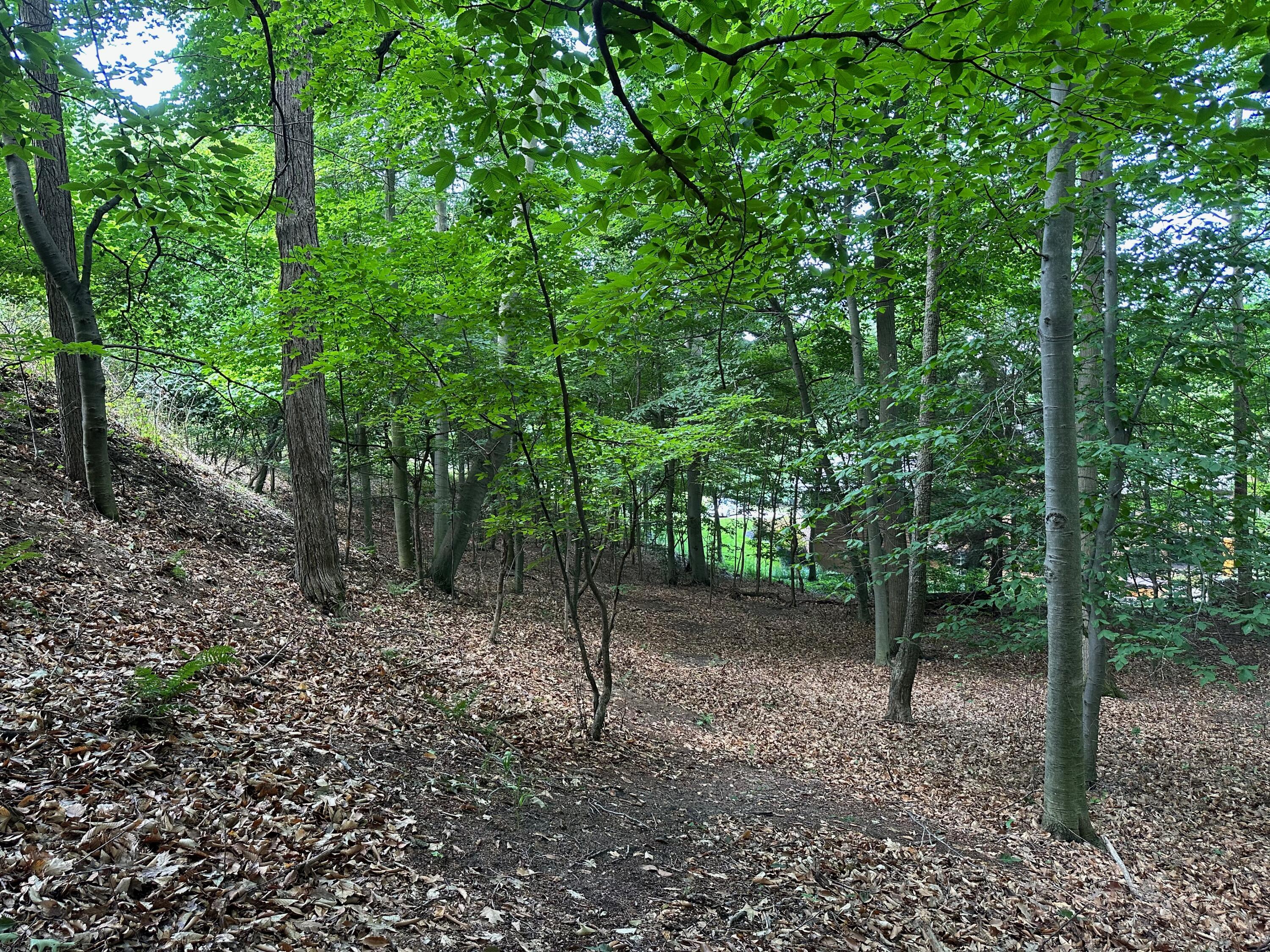 6625 Forest Beach Drive Holland MI 49423
