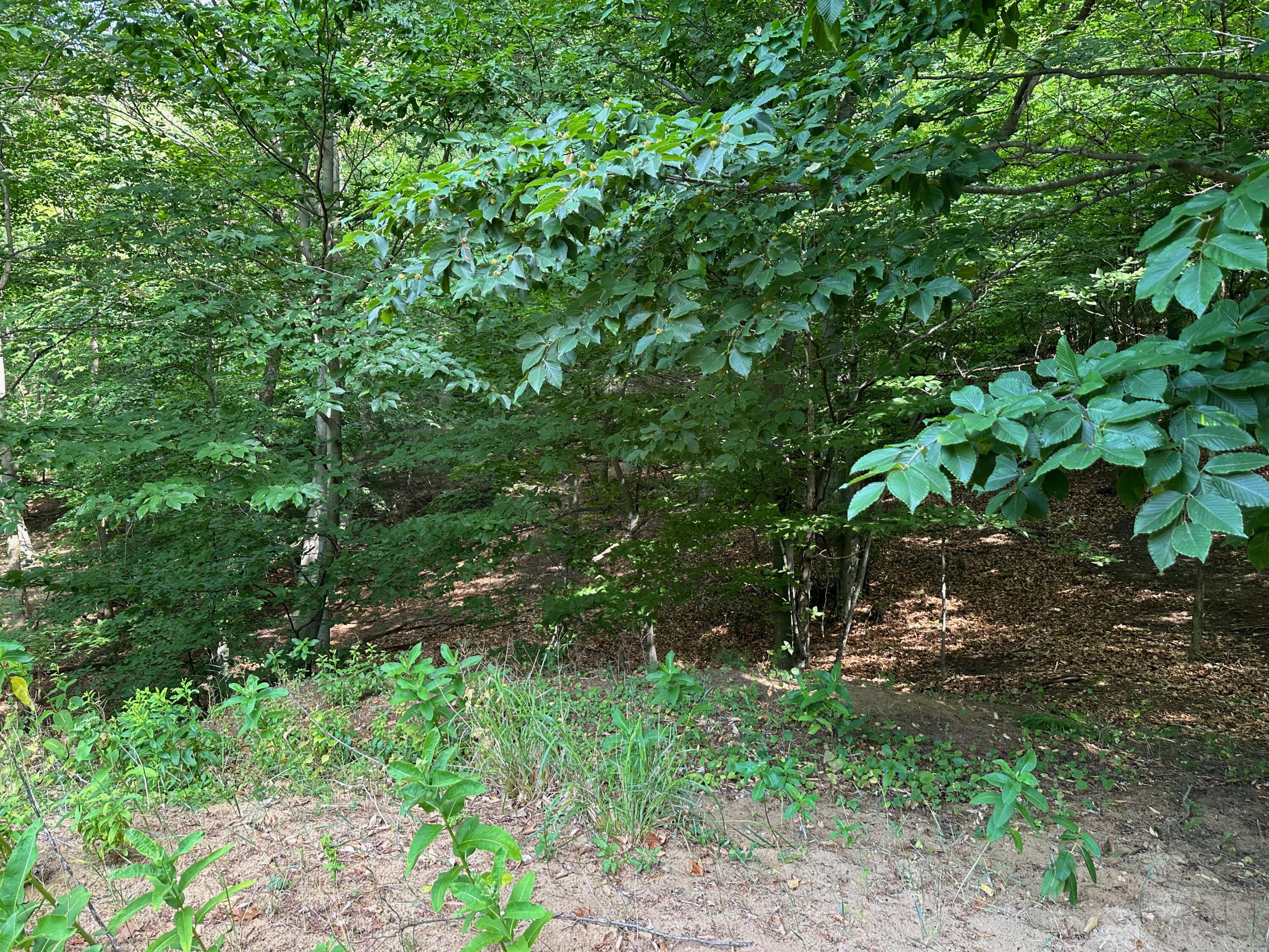 6625 Forest Beach Drive Holland MI 49423
