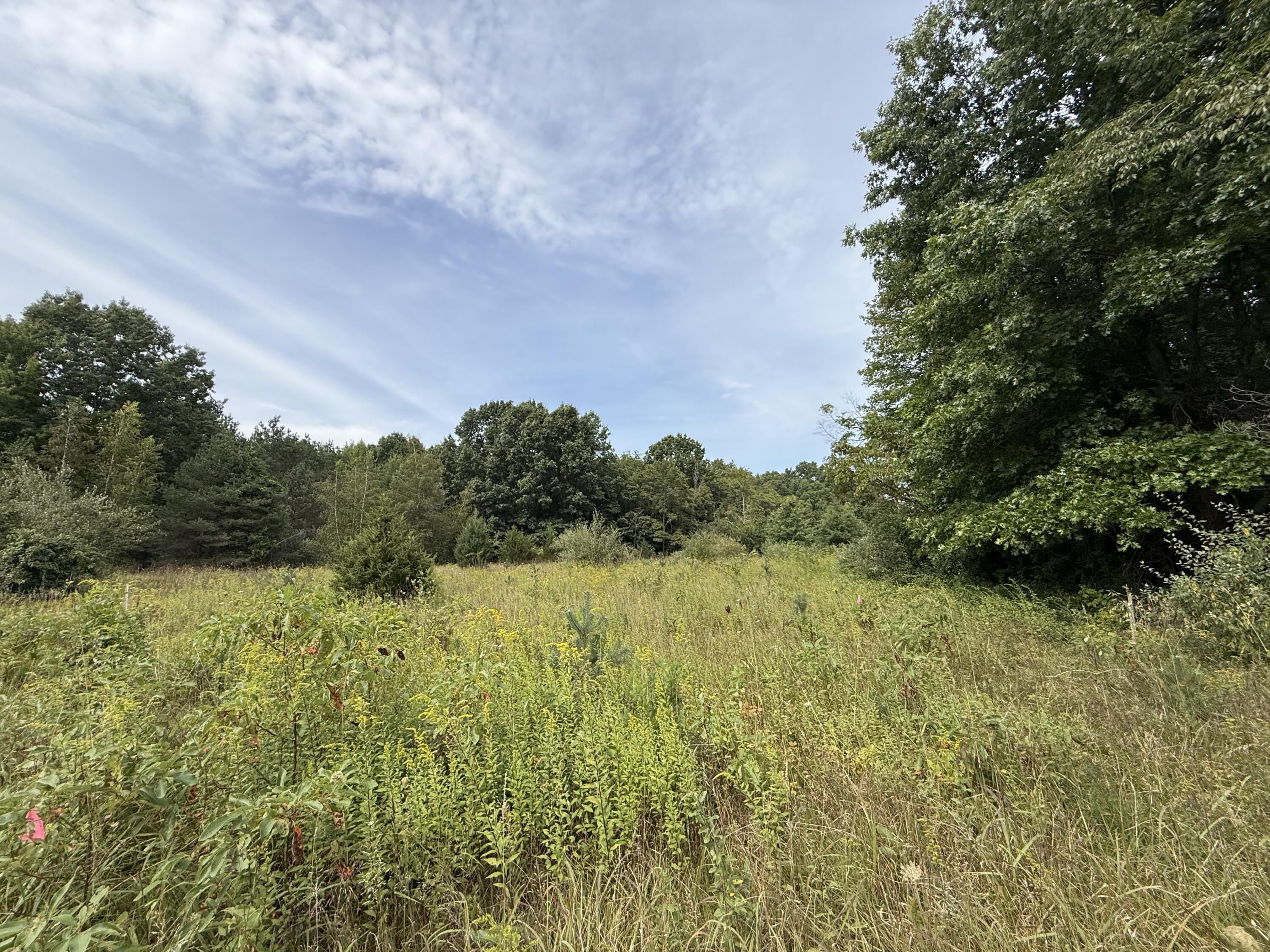 V/l Sawyer Road Sawyer MI 49125