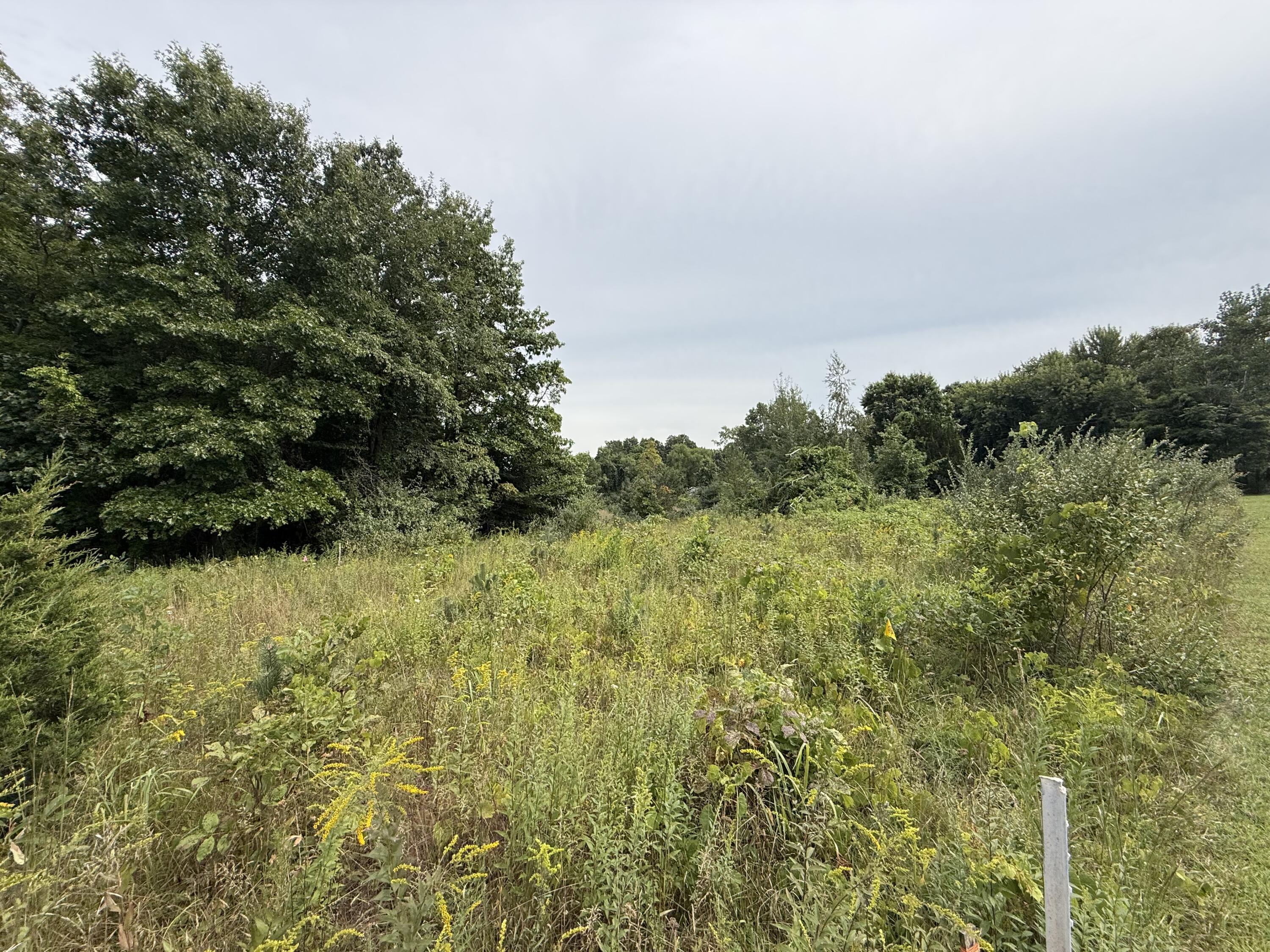 V/l Sawyer Road Sawyer MI 49125