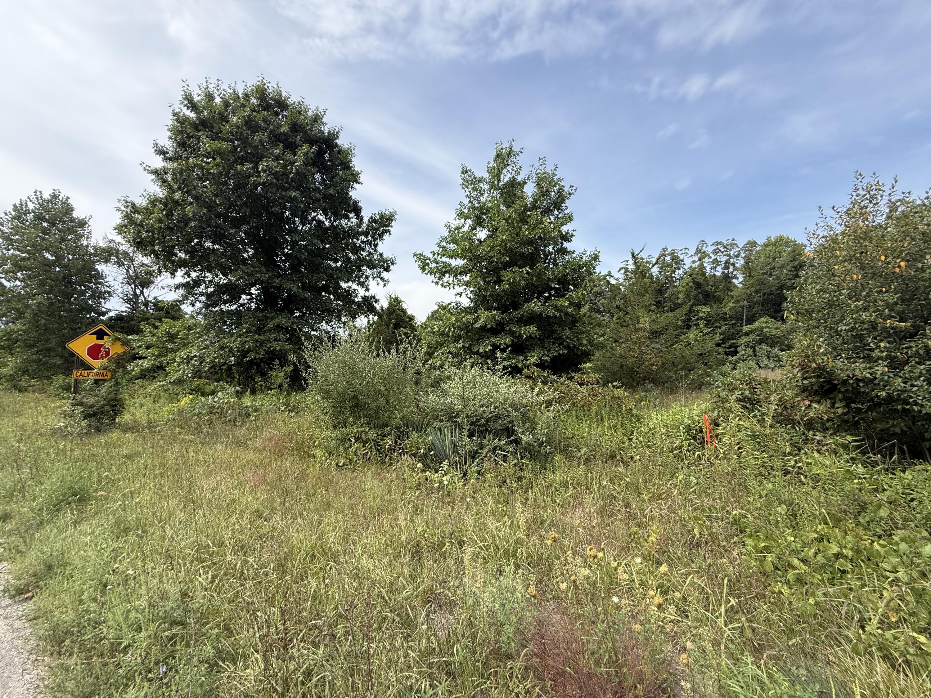 V/l Sawyer Road Sawyer MI 49125