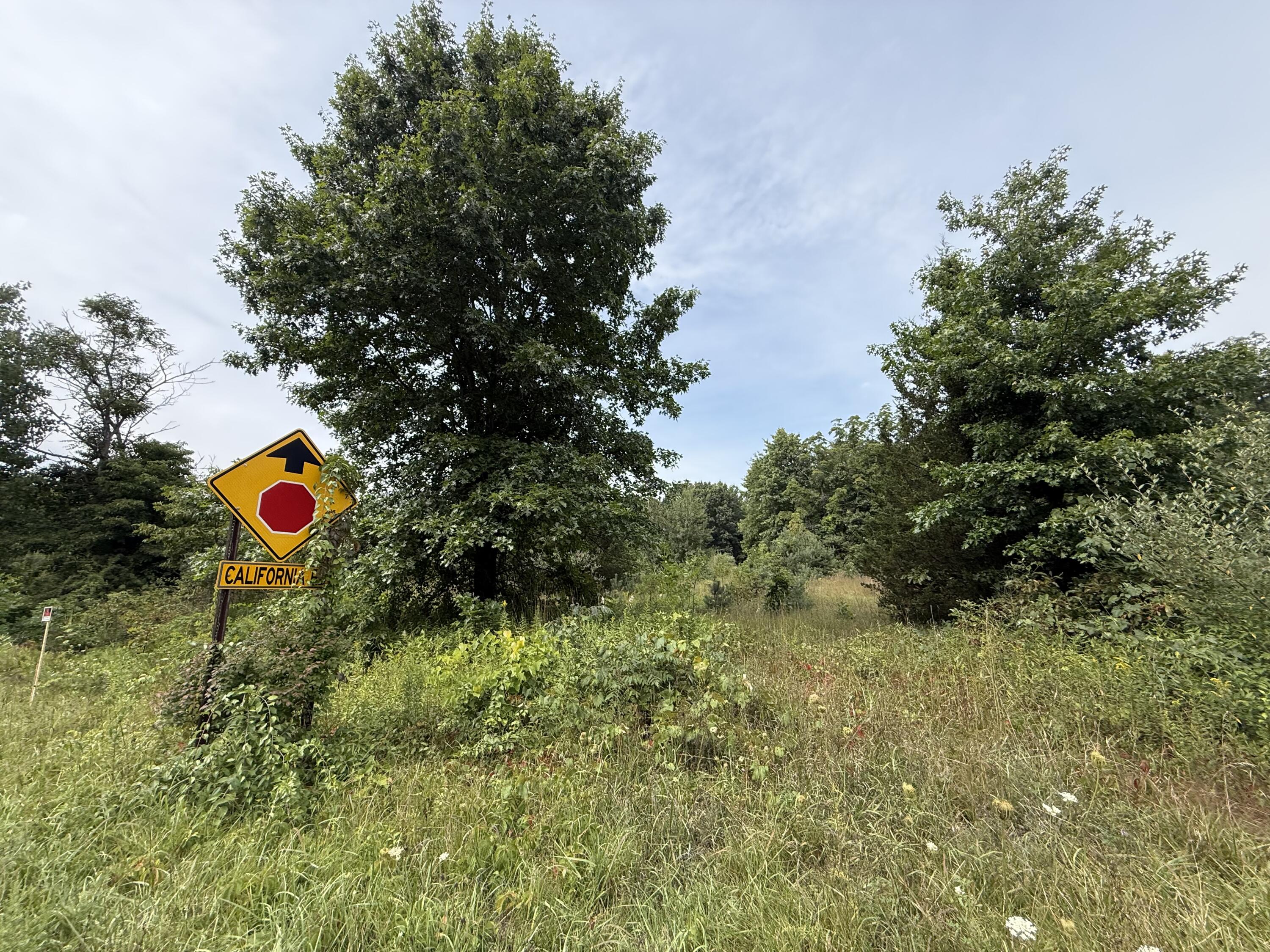 V/l Sawyer Road Sawyer MI 49125