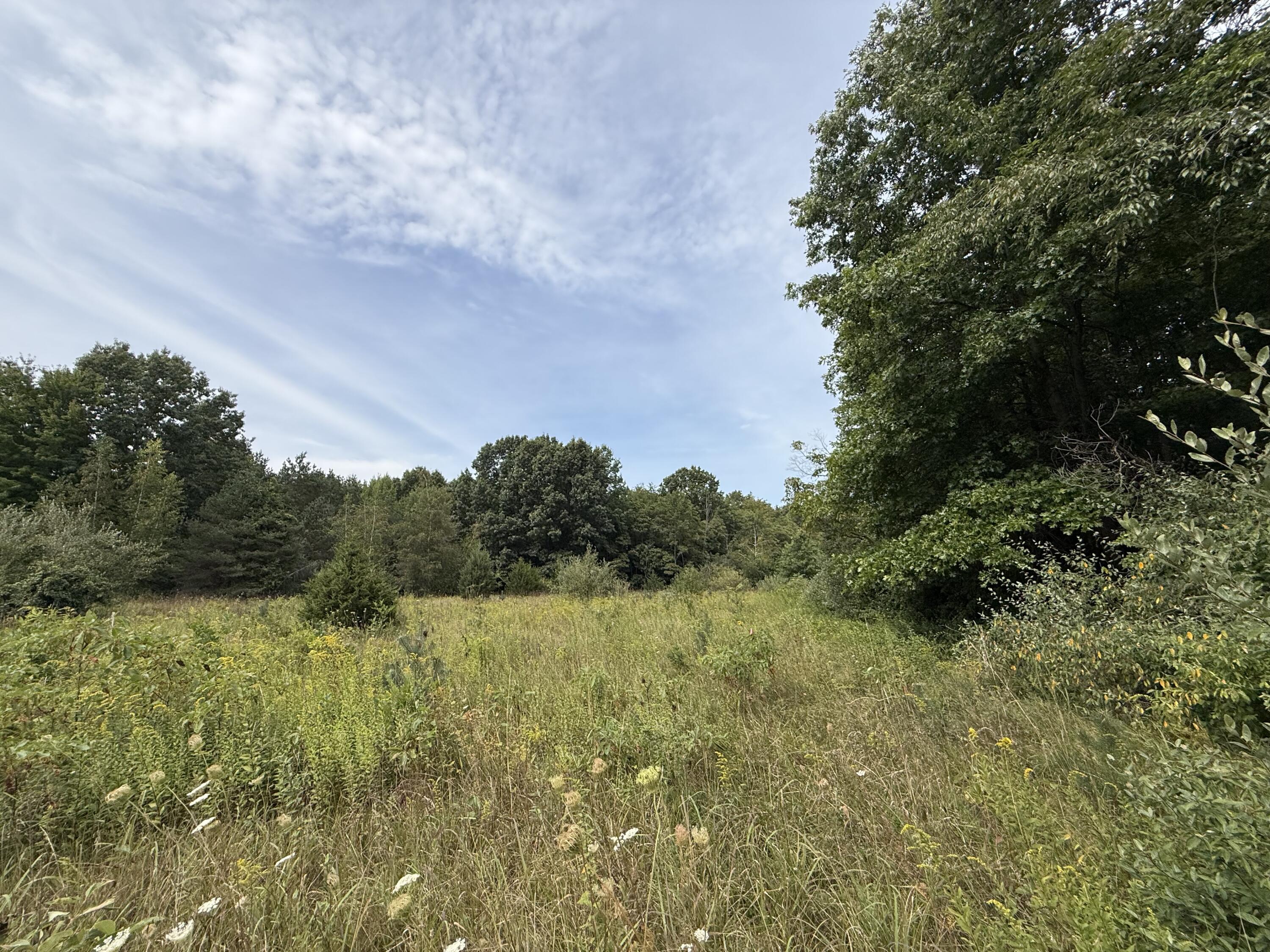 V/l Sawyer Road Sawyer MI 49125