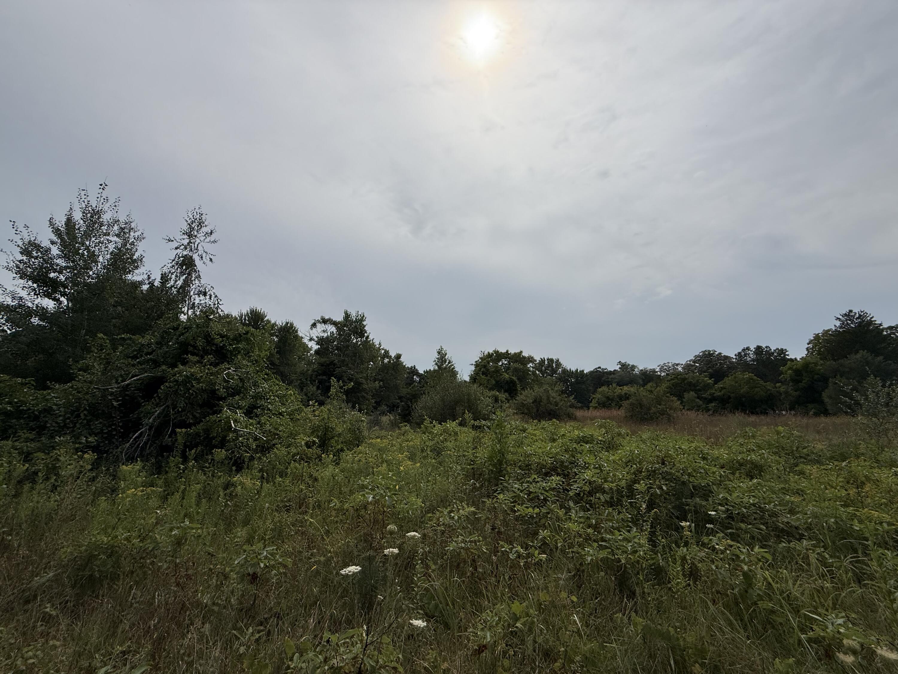 V/l Sawyer Road Sawyer MI 49125