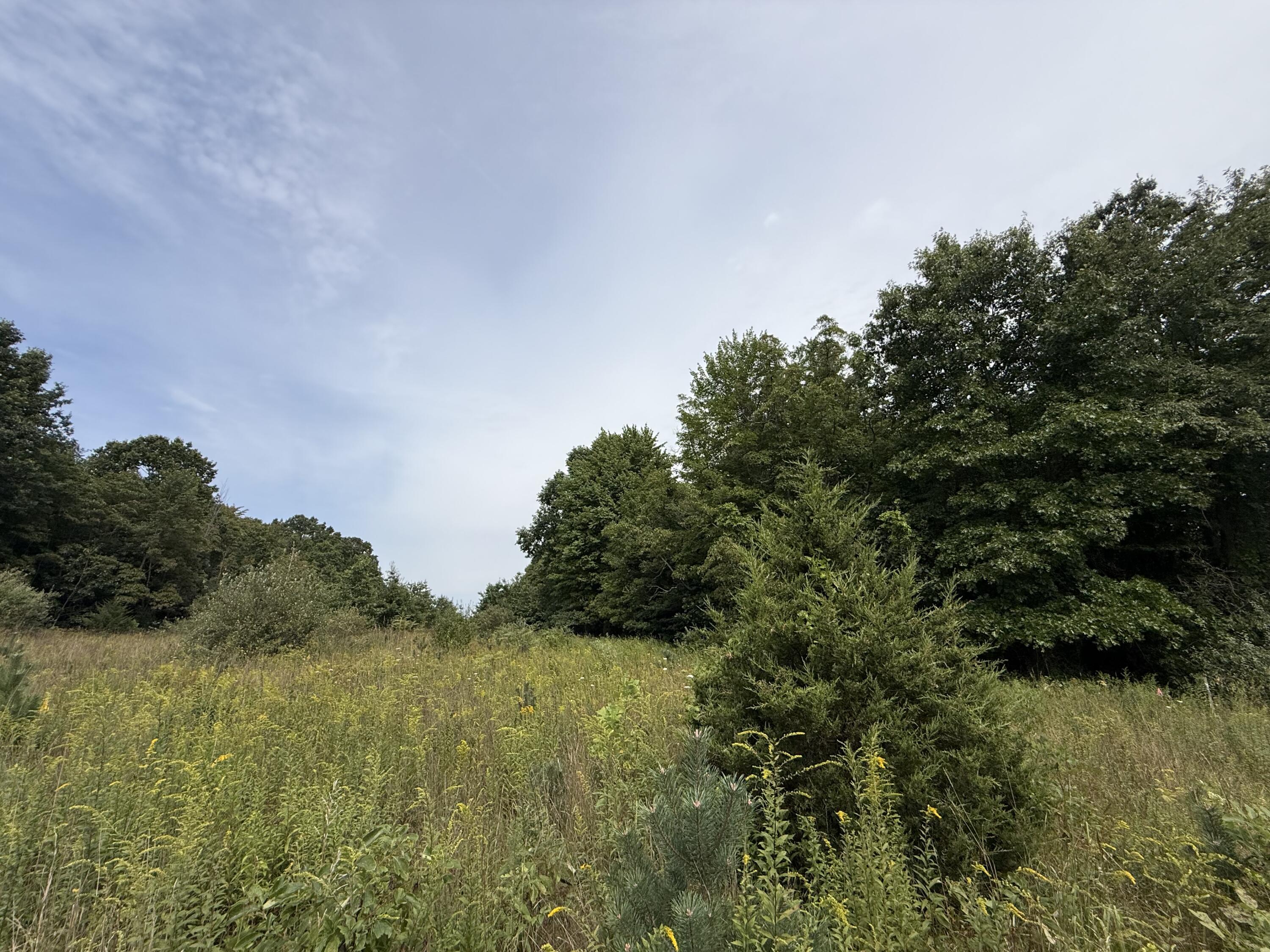 V/l Sawyer Road Sawyer MI 49125