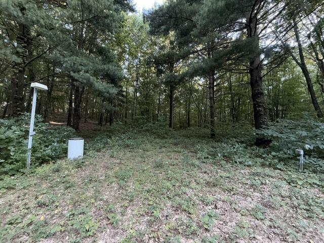 24065 Morton Street Dowagiac MI 49047