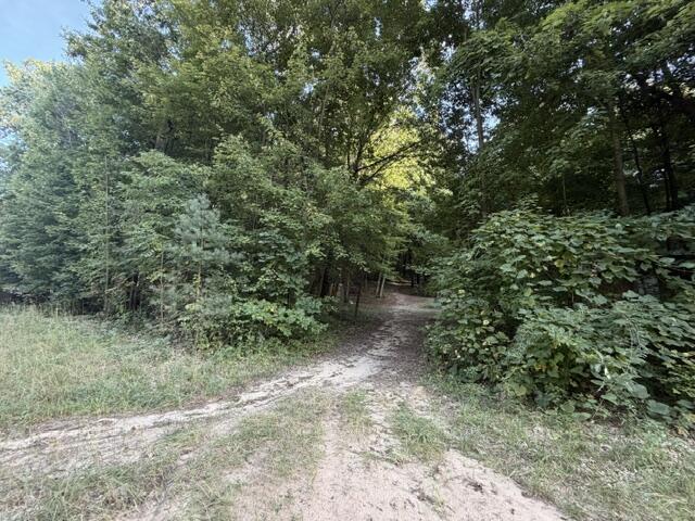 24065 Morton Street Dowagiac MI 49047