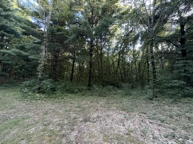 24065 Morton Street Dowagiac MI 49047