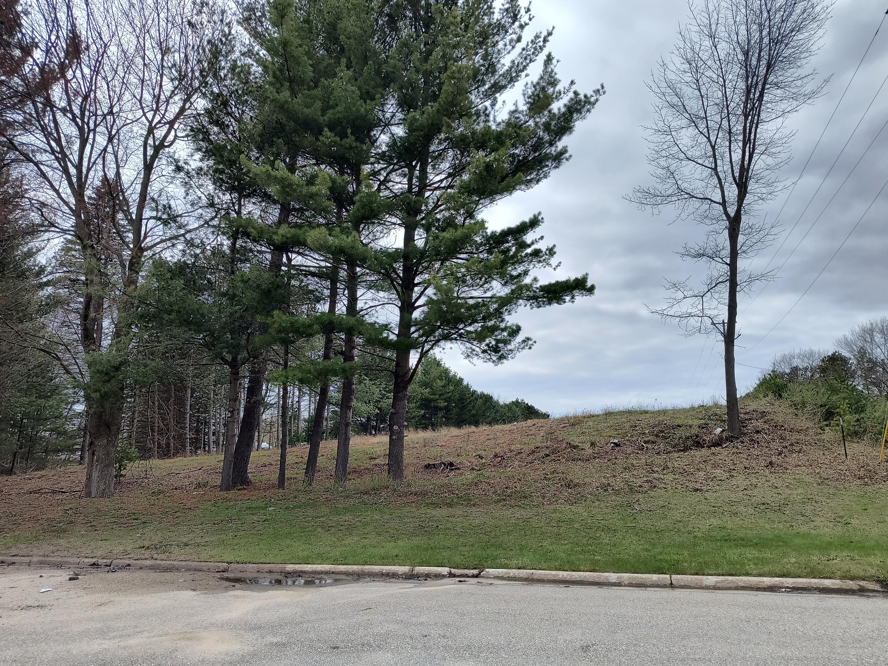 4675 John Harlan Drive Ludington MI 49431