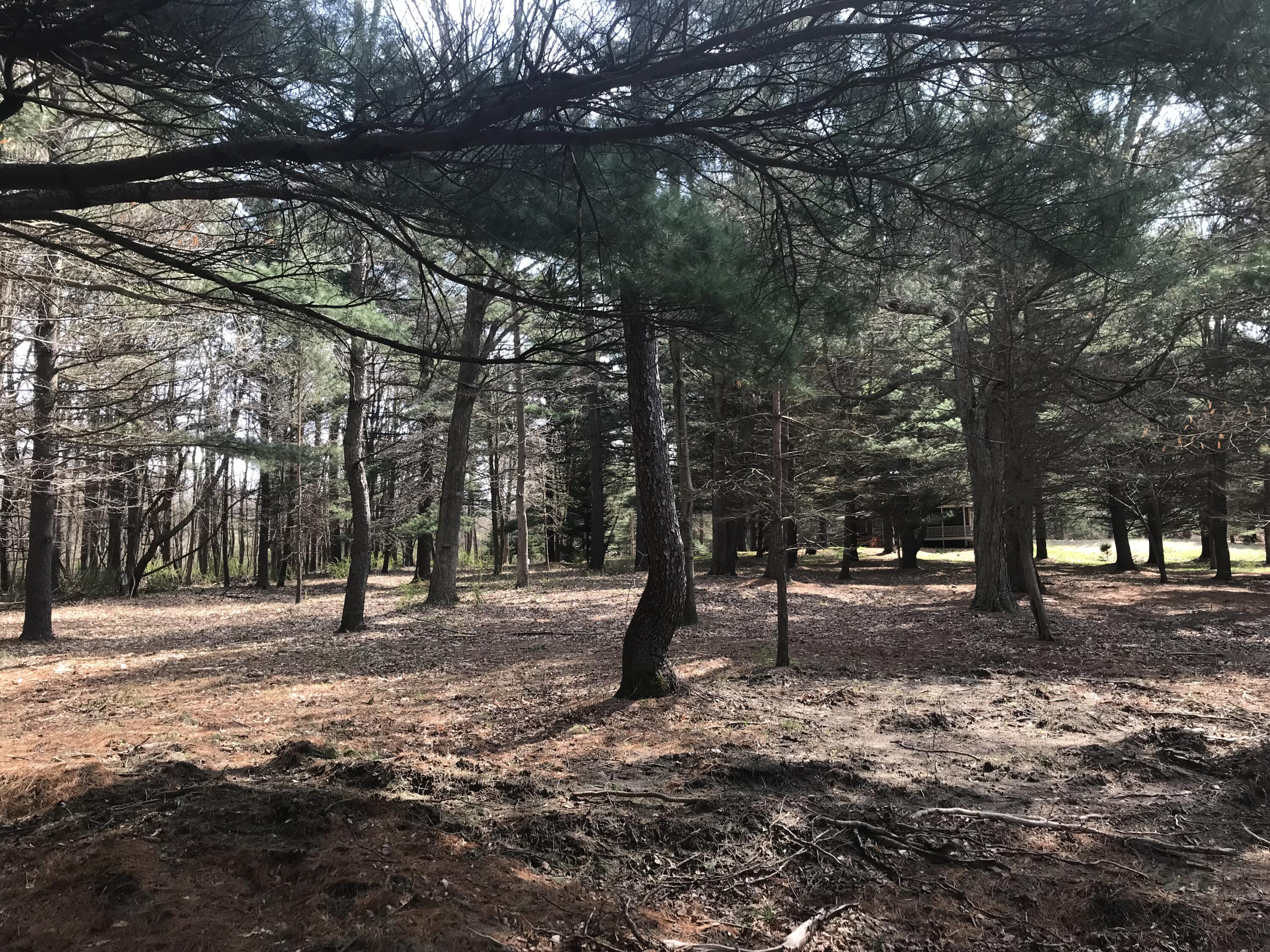 Lot 1 Creekwood Drive South Haven MI 49090
