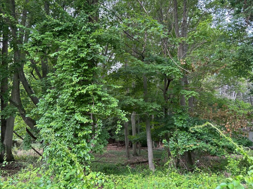5043 Maranatha Drive Norton Shores MI 49441