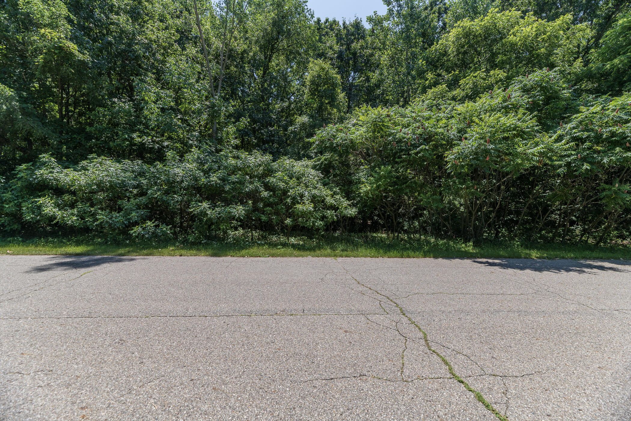 7228 Owen Hills Drive Kalamazoo MI 49009