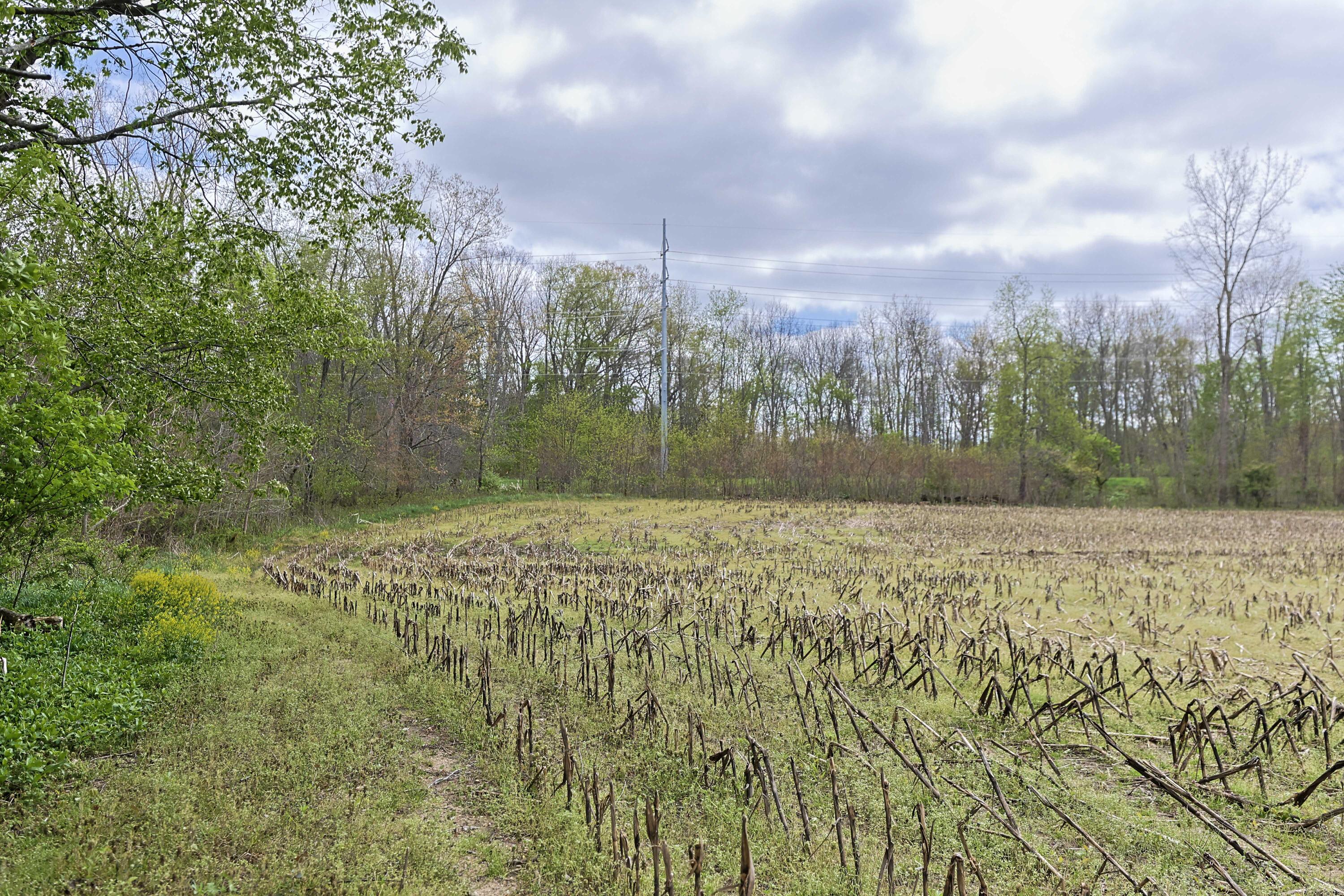 0 V/l White Street Cassopolis MI 49031