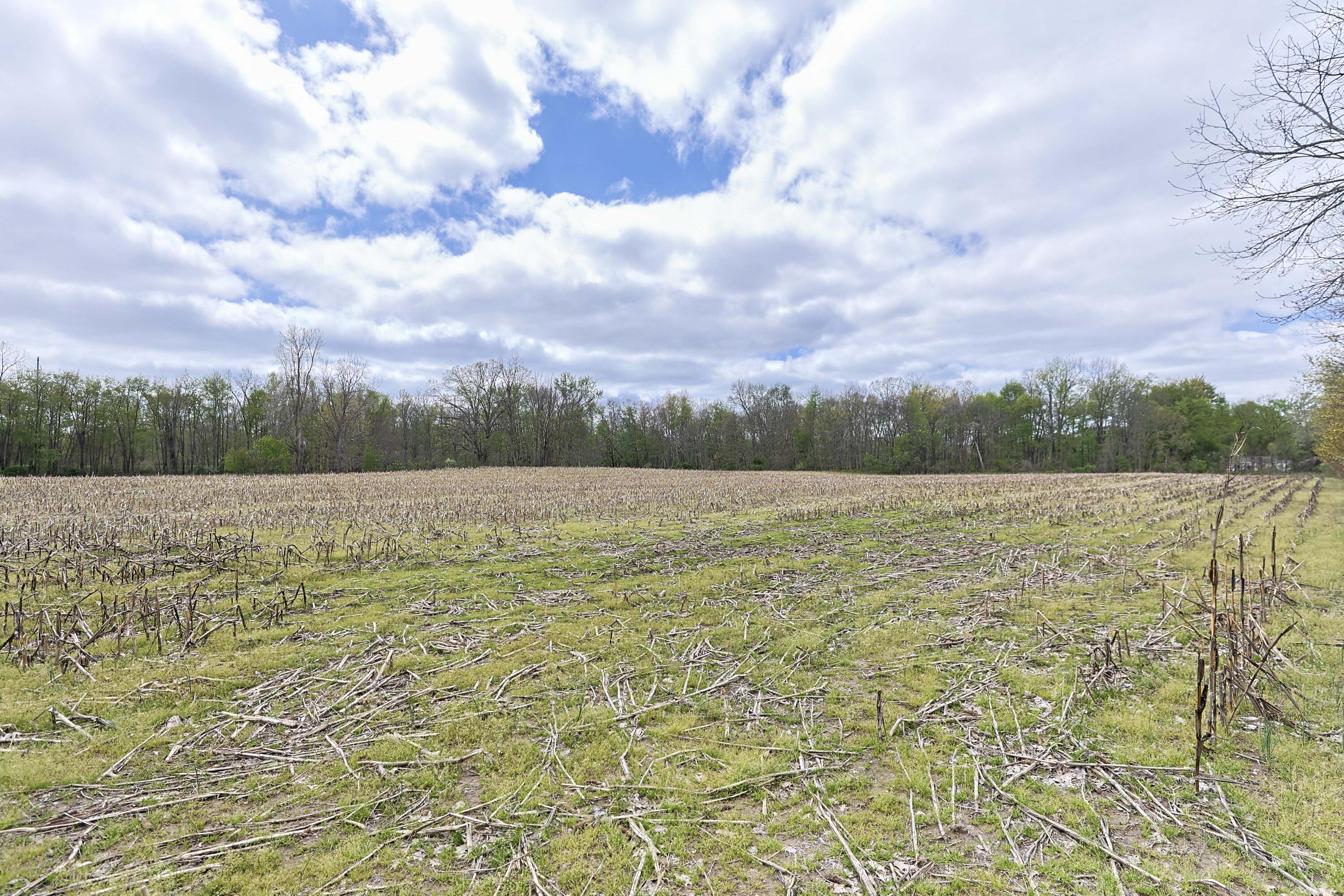 0 V/l White Street Cassopolis MI 49031