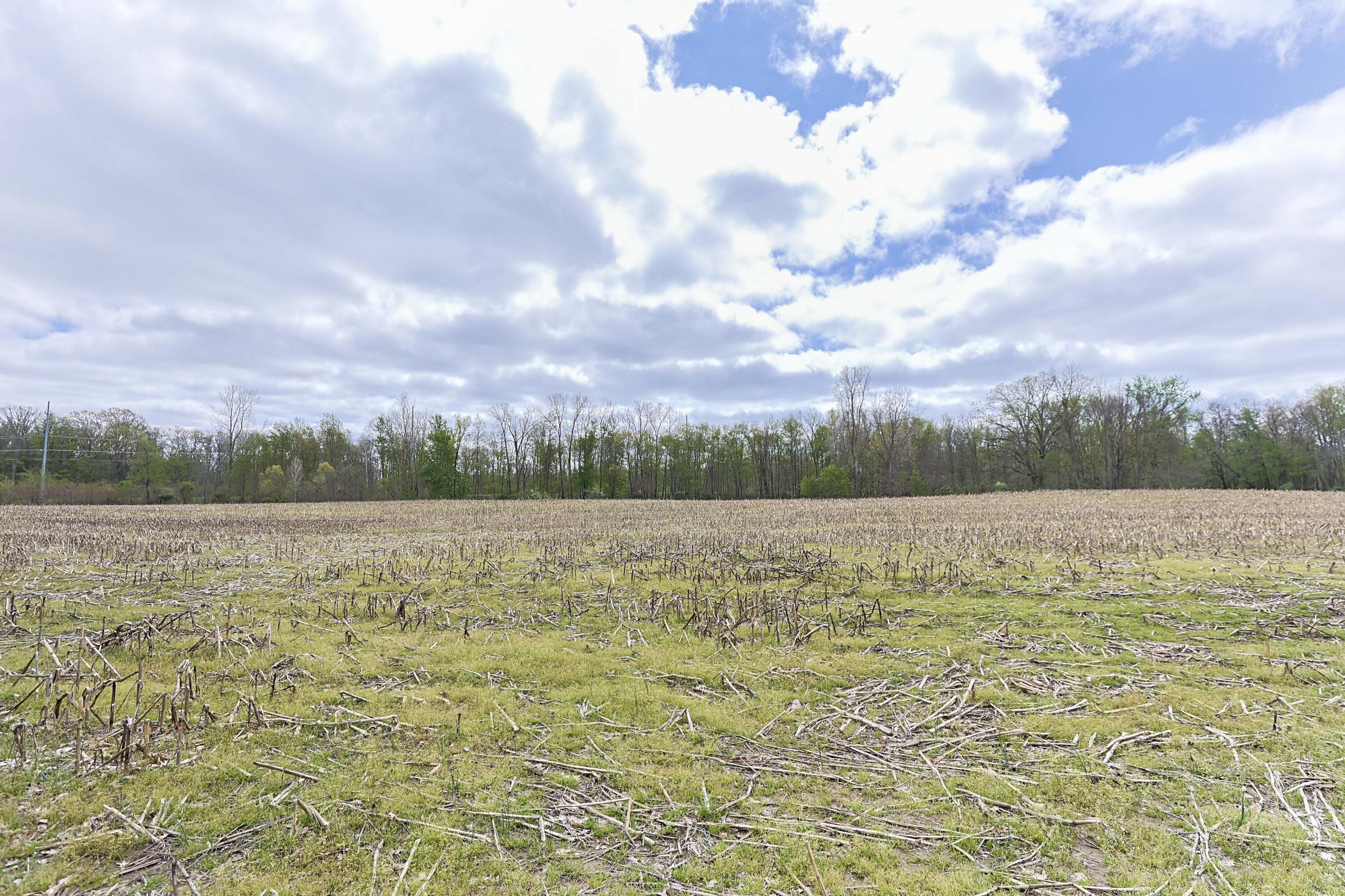 0 V/l White Street Cassopolis MI 49031